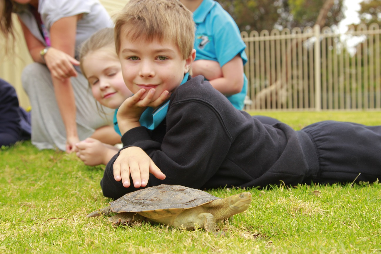 Puzzles and Games — Goolwa Primary School