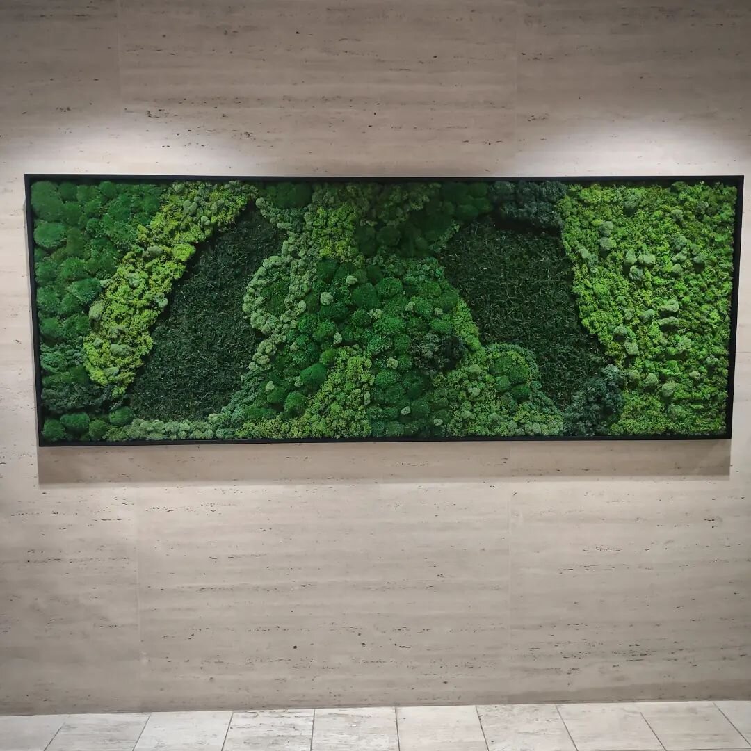Moss wall, no problem. We can do that! 🤔 9ft x 3ft preserved moss. If you see me walking around with greenish / yellow fingers, now you know why! 🤦 #corporateinteriors #moss #mosswall #preservedmoss #botanicalart #bringoutsidein #artconsultant #mak