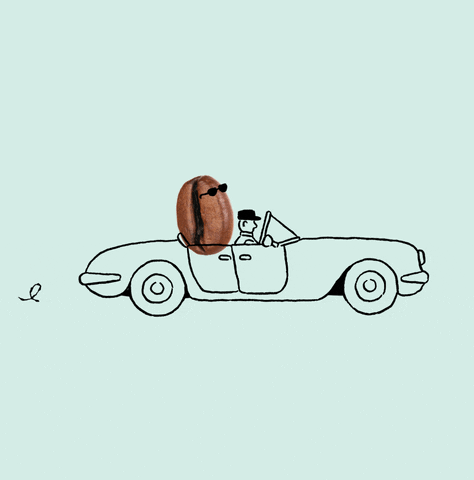 TCC_Bean-Driving1.gif