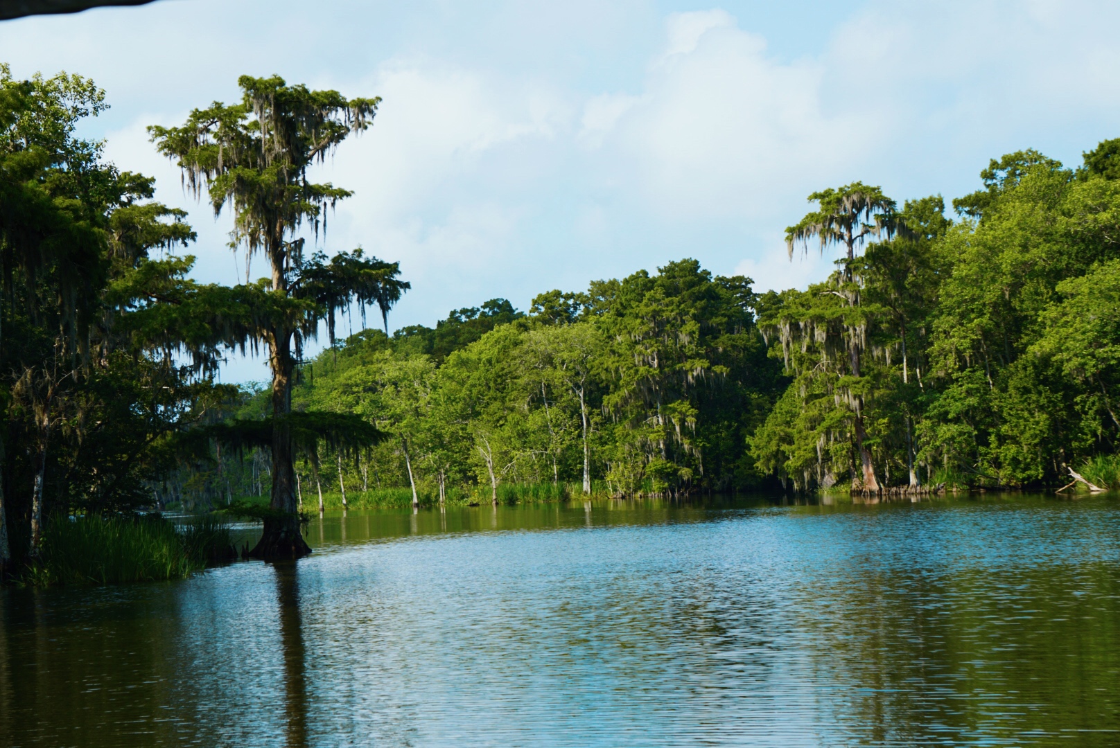 The Bayou