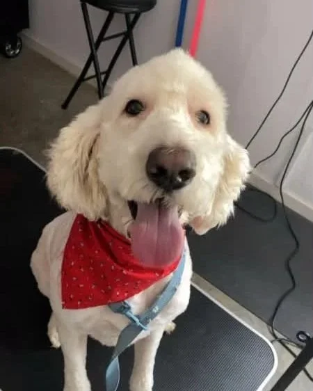 teddy2.jpg