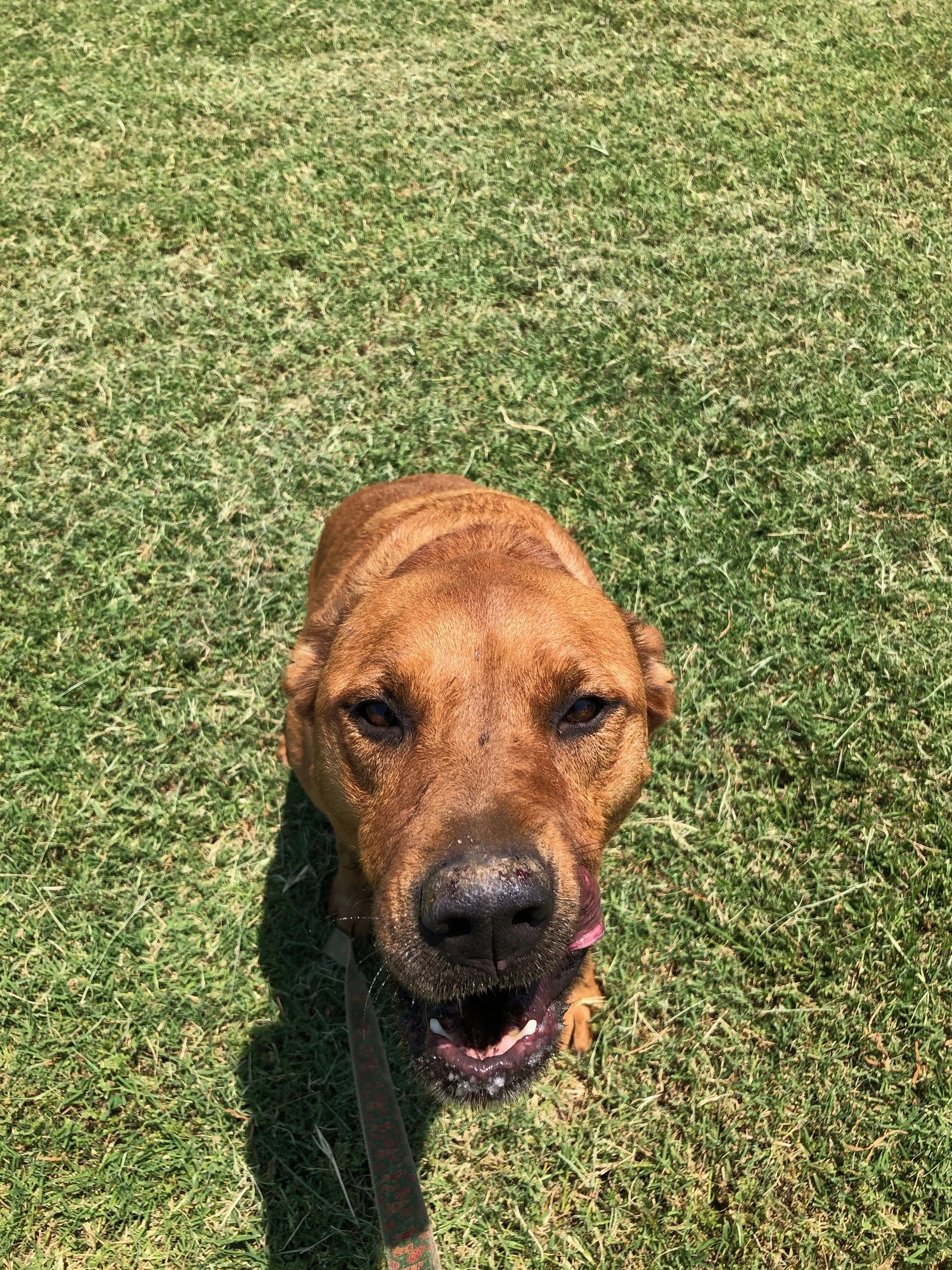 lexi 2.JPEG
