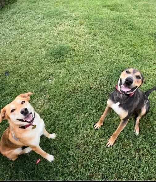 lola and danny.jpg