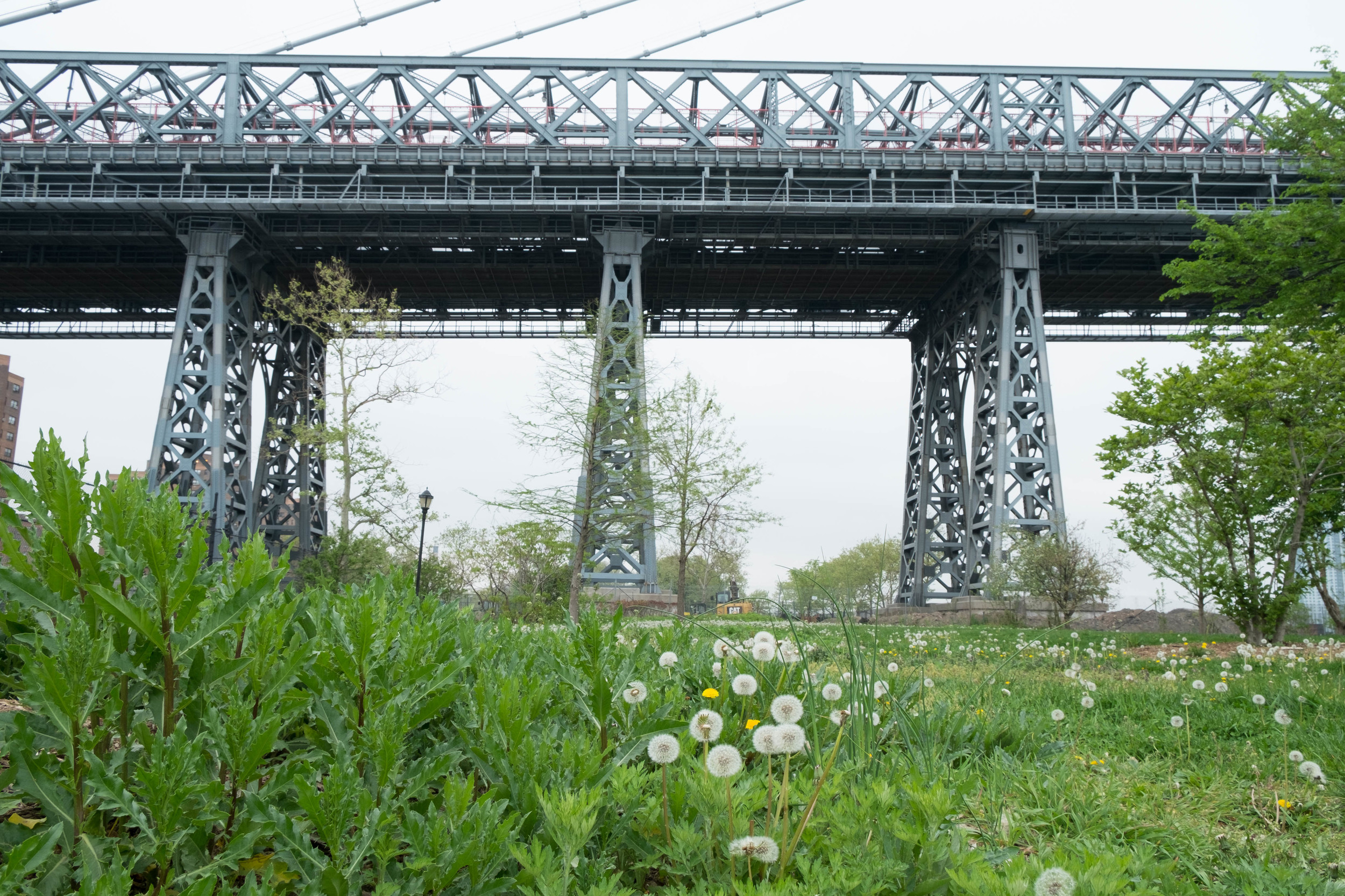 East River Park, LES, NYC