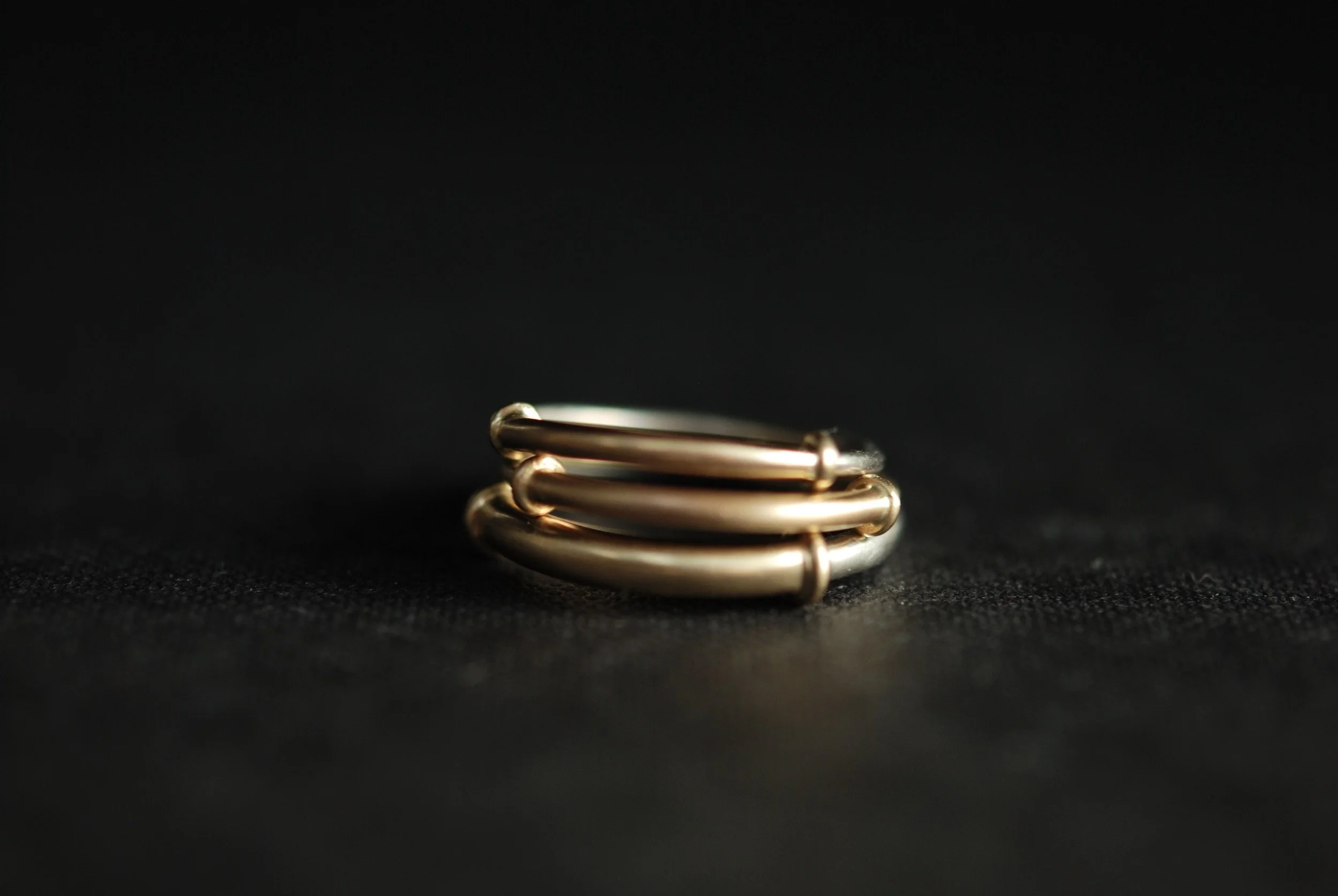 Ring 314 lifestyle.JPG