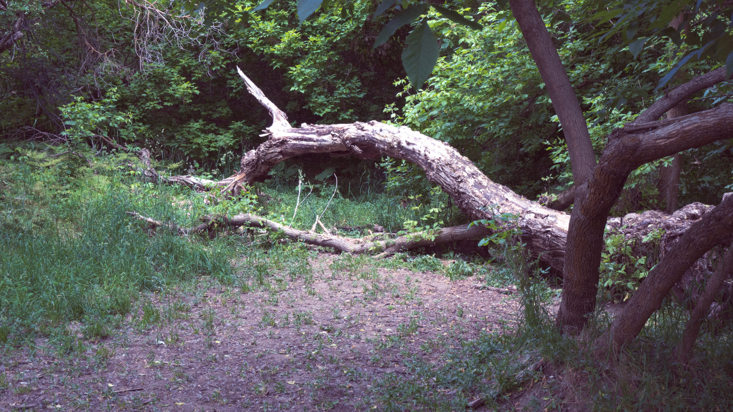 JLC01997.jpg