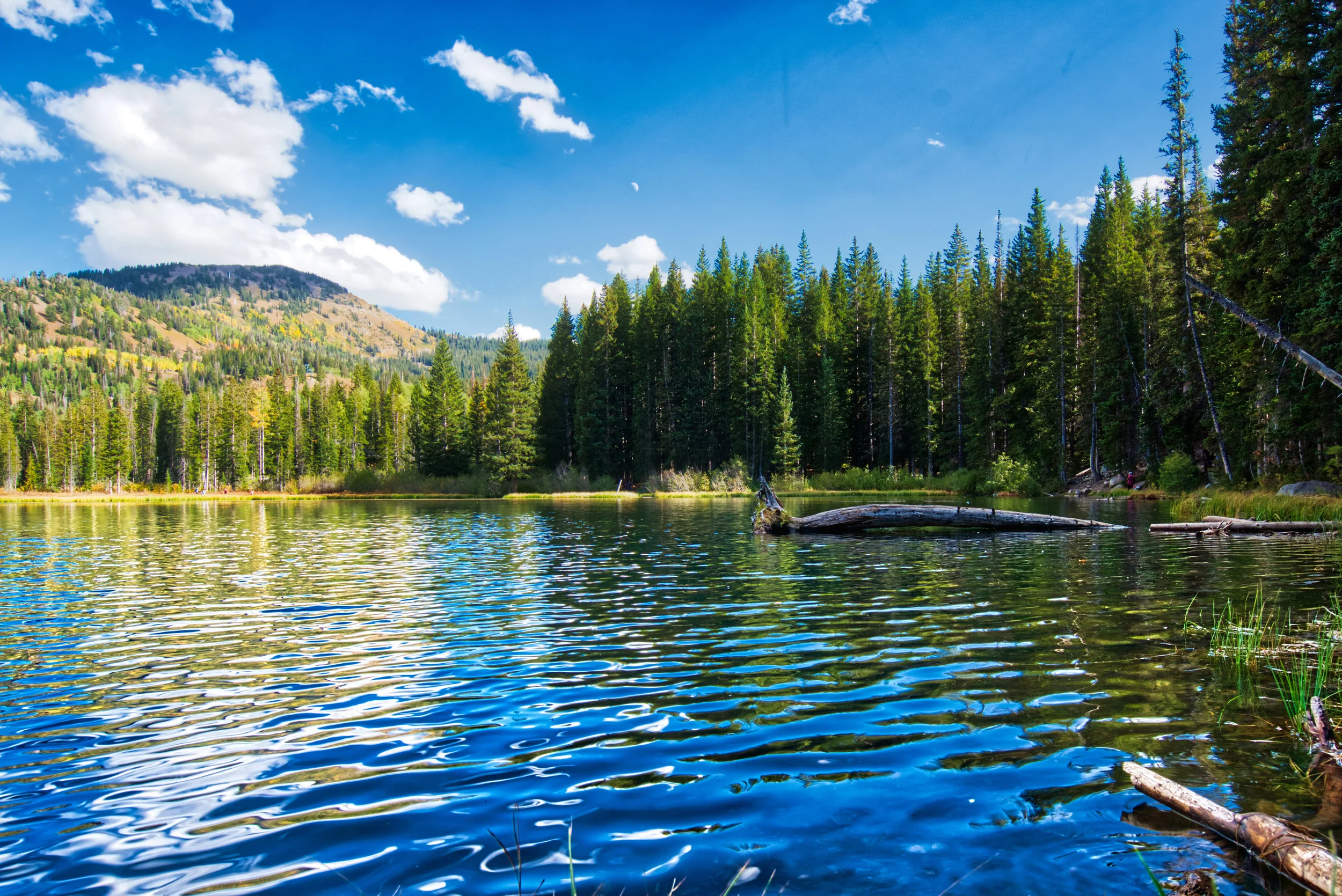Silver Lake