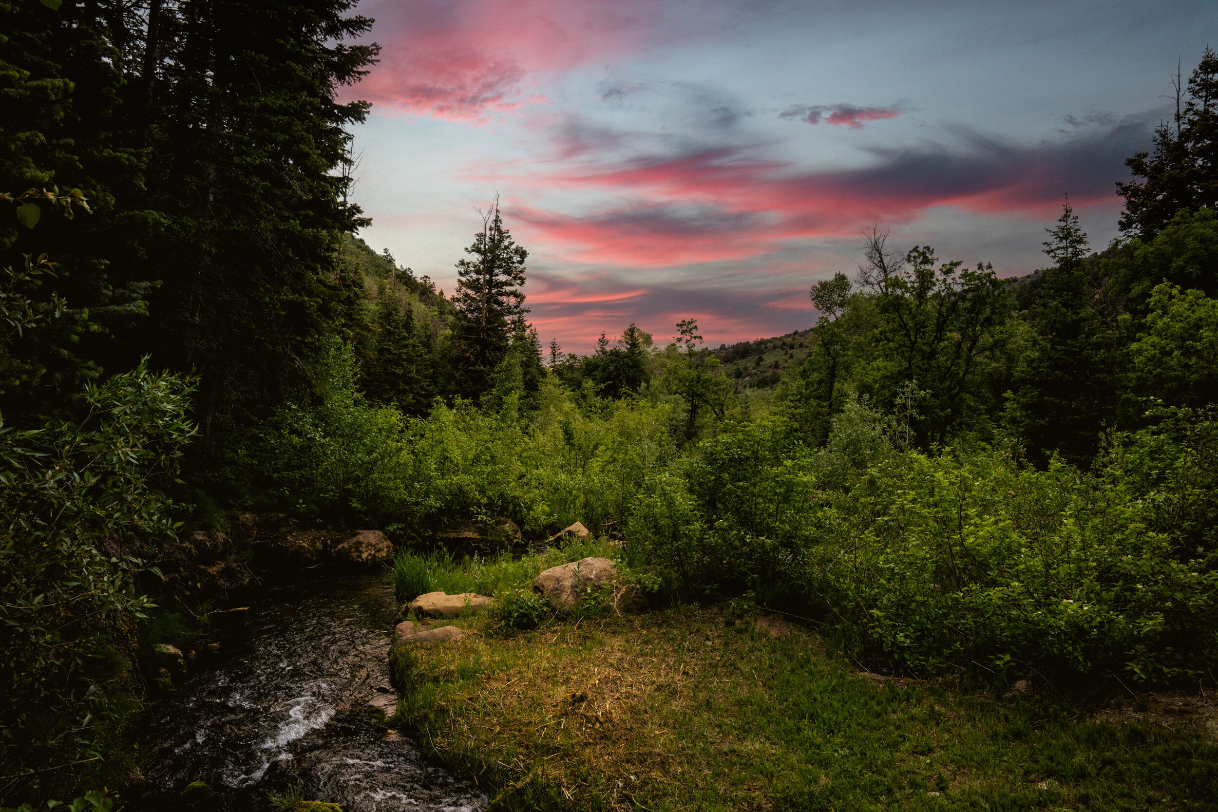 DSC00495-Edit.jpg