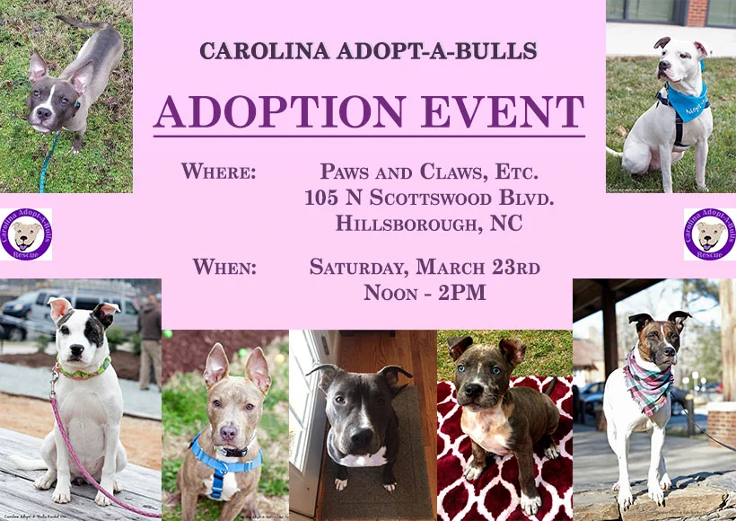 March 23 Event.jpg