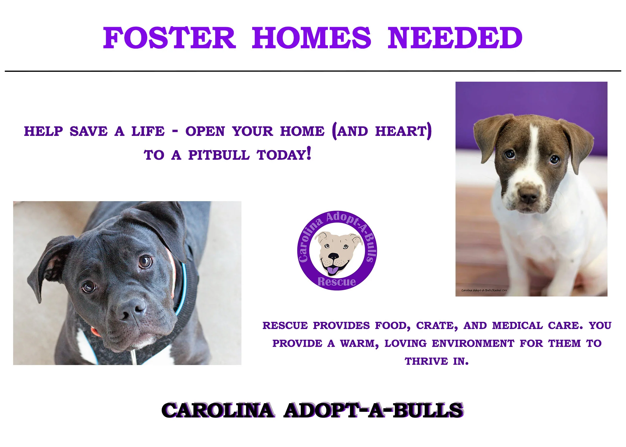 CABR Foster Flyer Landscape.jpg