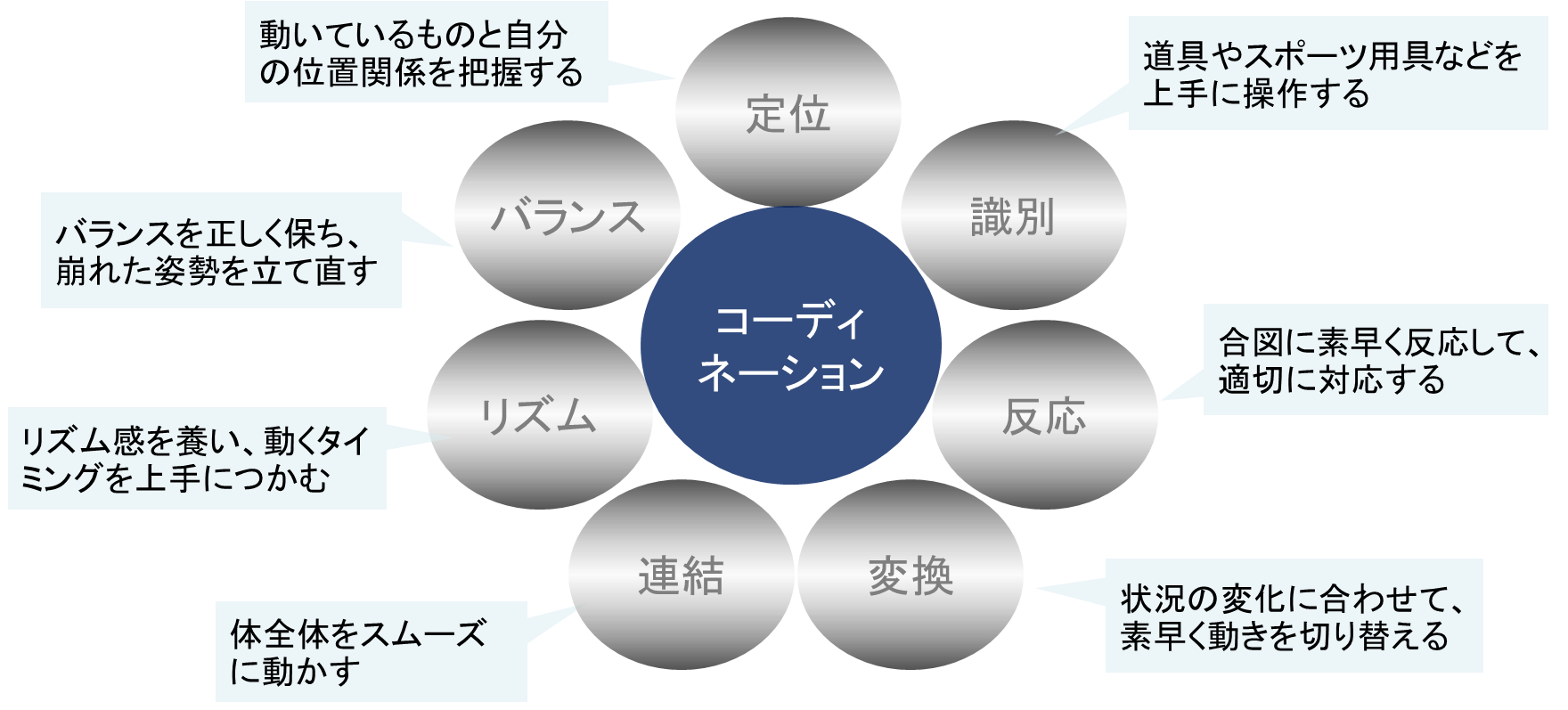 コーディネーション図.png