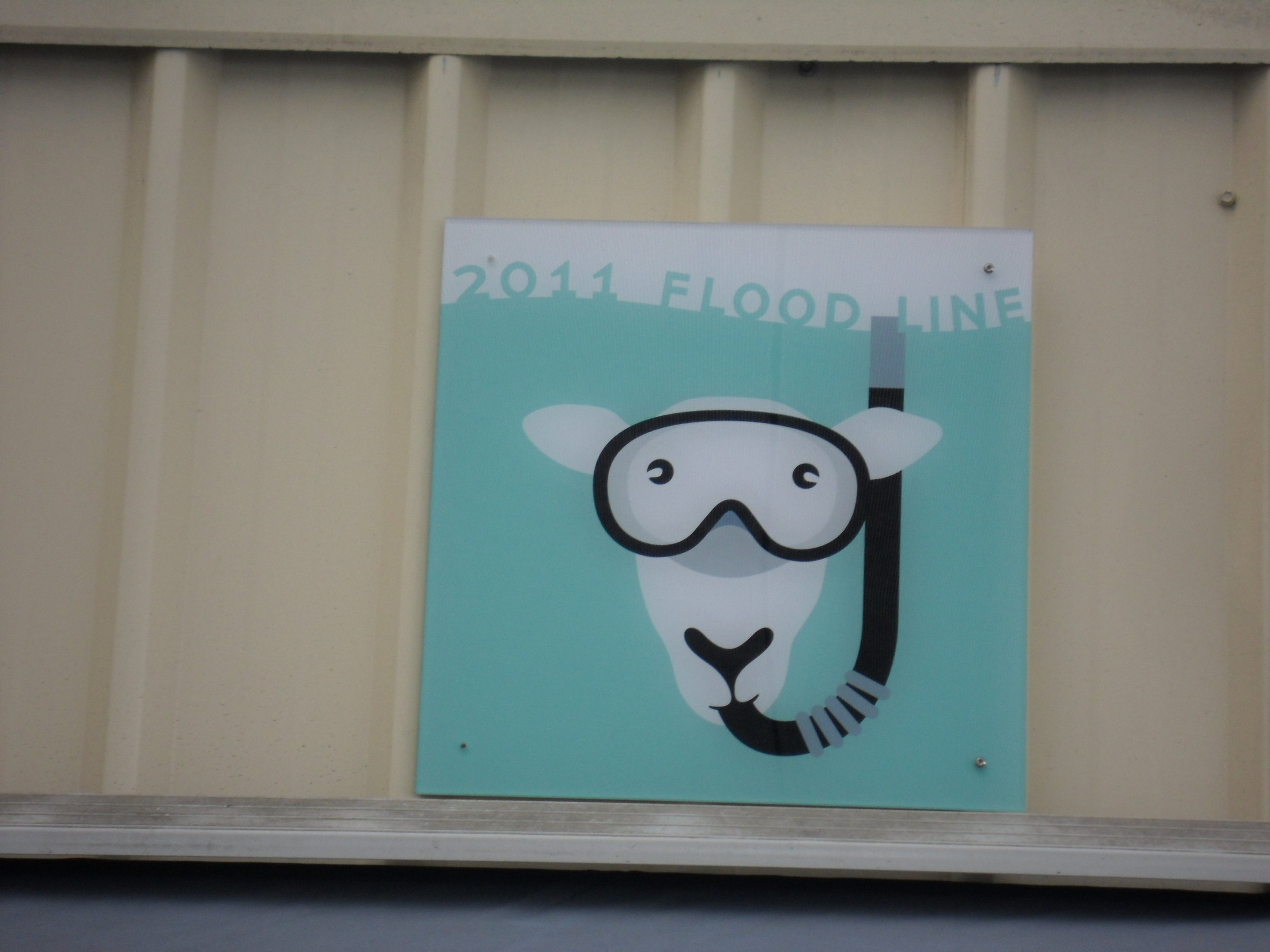 Our flood marker at the Rocklea Markets. A bit of a tongue in cheek nod to what we’ve gone through.