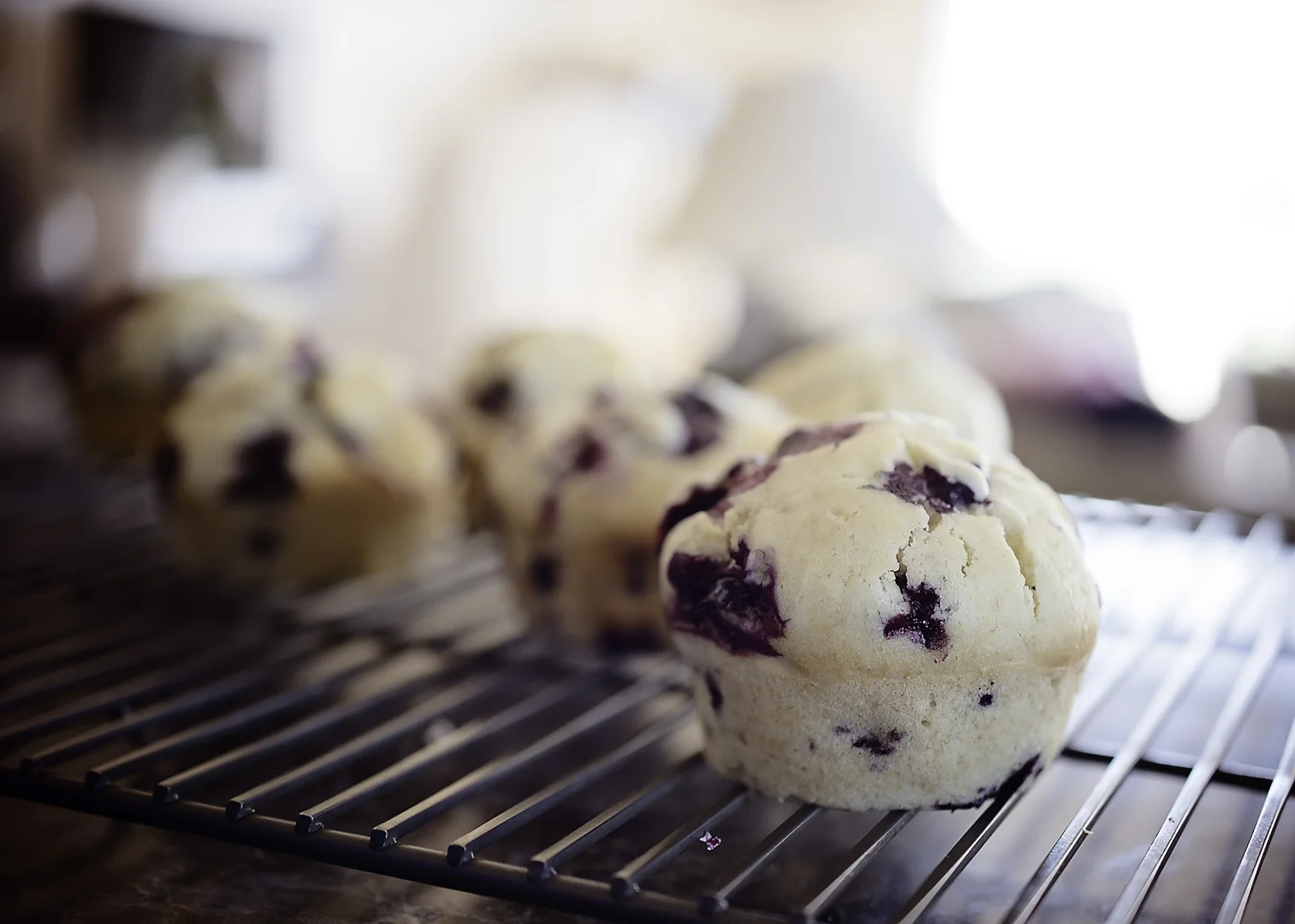 Blueberry Muffins