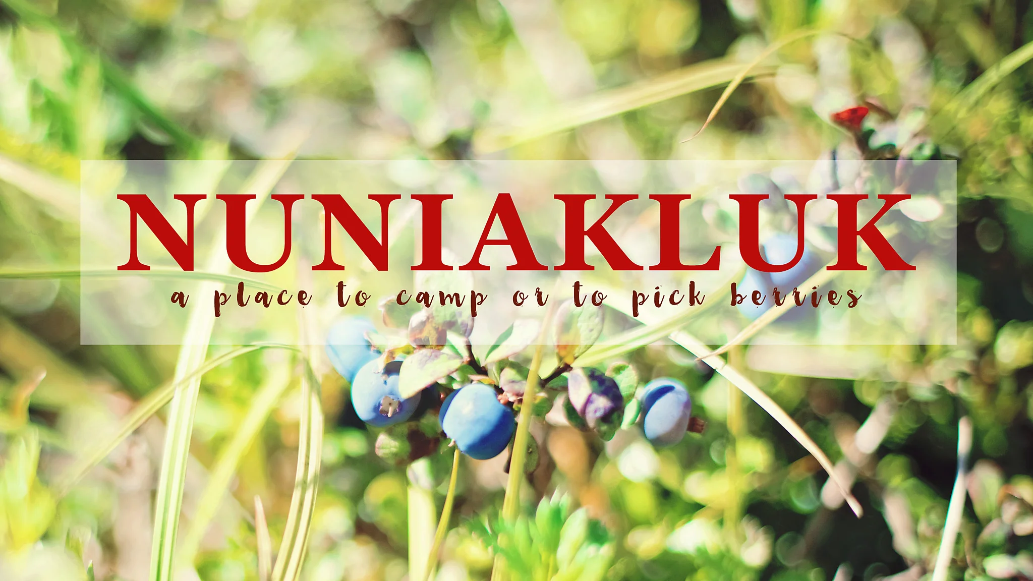 Tips for Berry Picking