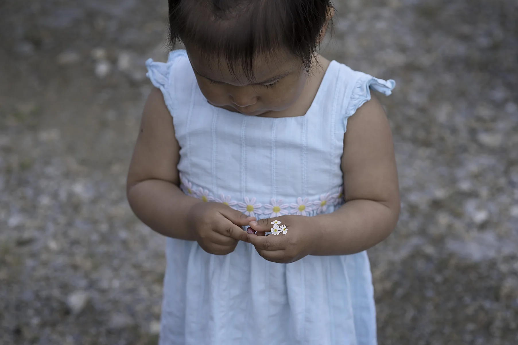 DSC_0116-Edit copy.jpg