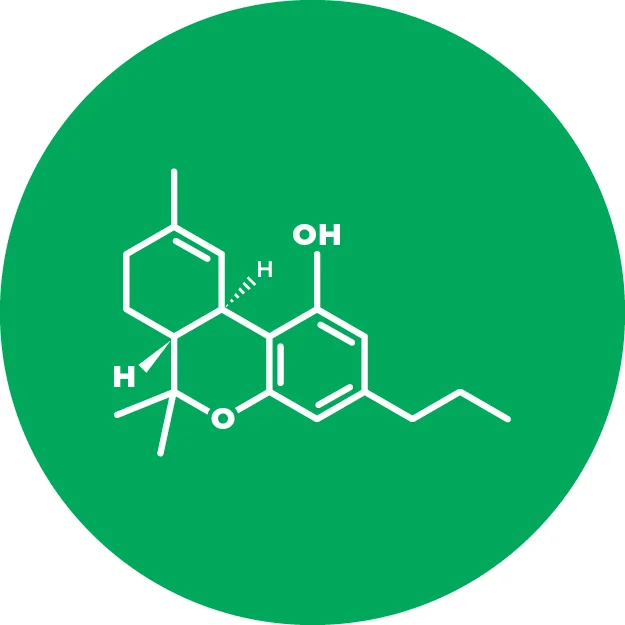 Tetrahydrocannabivarin (THCV) Tetrahydrocannabivarin’s chemical structure is similar to THC, but it reacts differently with our cannabinoid receptors. THCV is psychoactive and researchers are investigating its appetite suppressant and anticonvulsant properties.