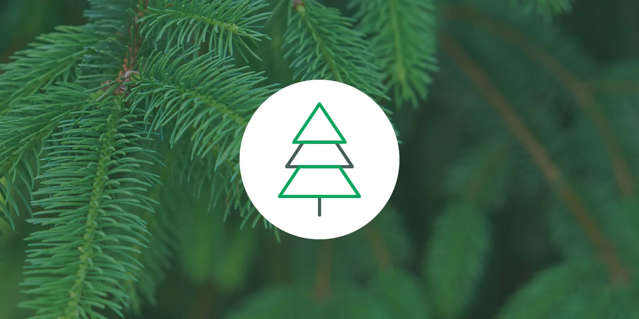 Pinene SMELL Pine (also found in pine needles, rosemary, basil, parsley, dill) EFFECTS Alertness, memory retention, counteracts some THC effects ANECDOTAL USE Asthma, antiseptic