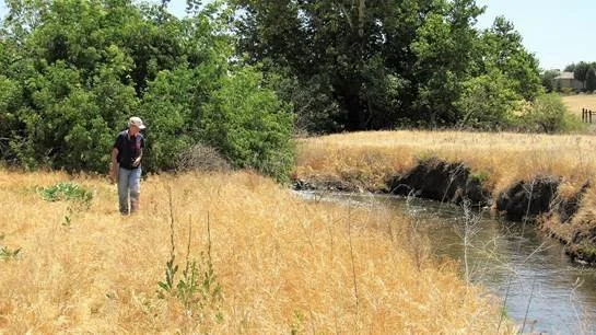 Biological survey revealed myriad of plant and animal species dependent on the water the escaped the irrigation and percolated into the sandy soil of this piece of the Tule River watershed and flood plain.