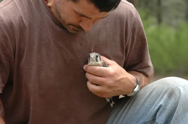 memo and the hawk.JPG