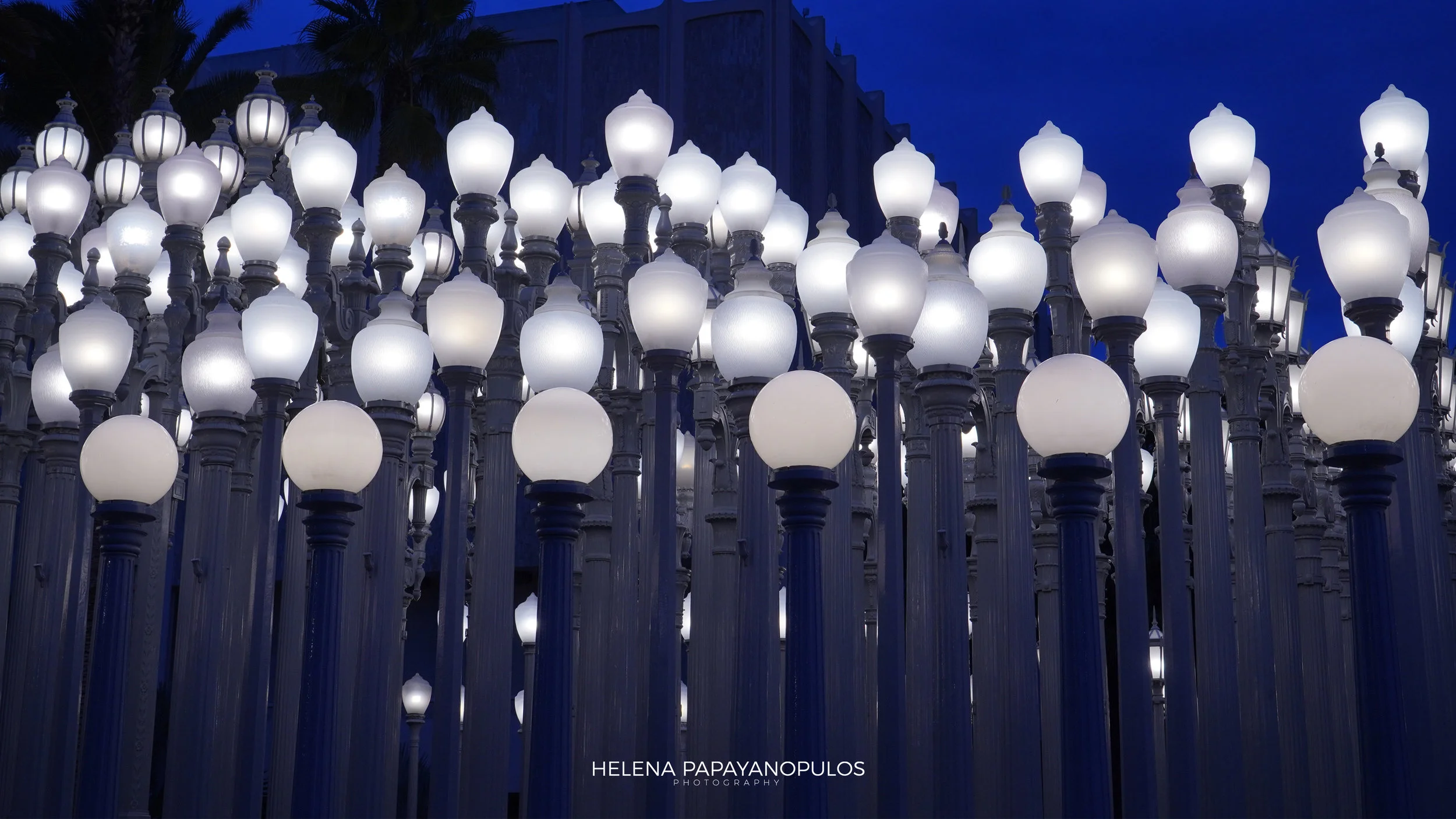 lacma 2.jpg