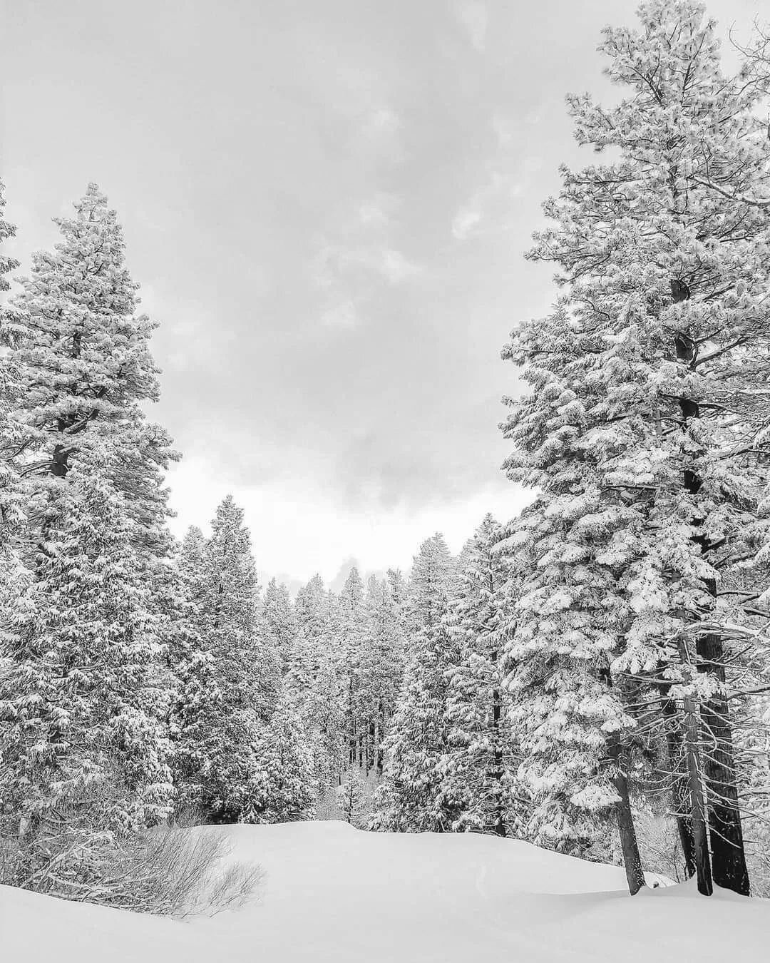 The first snowfall is something magical. Everything stands still. There is a quietness about it. It seems like for a moment, everything just stops. Snow without footprints on it yet is my favorite. Roads without cars on it let you enjoy the simple mo