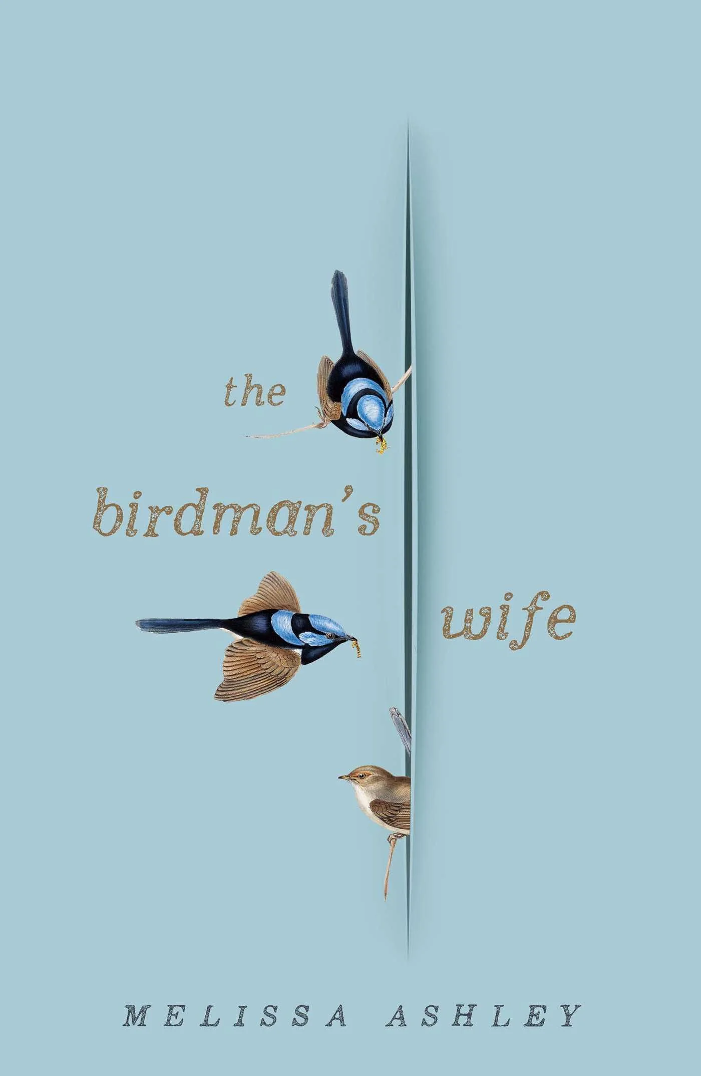 birdman.jpg