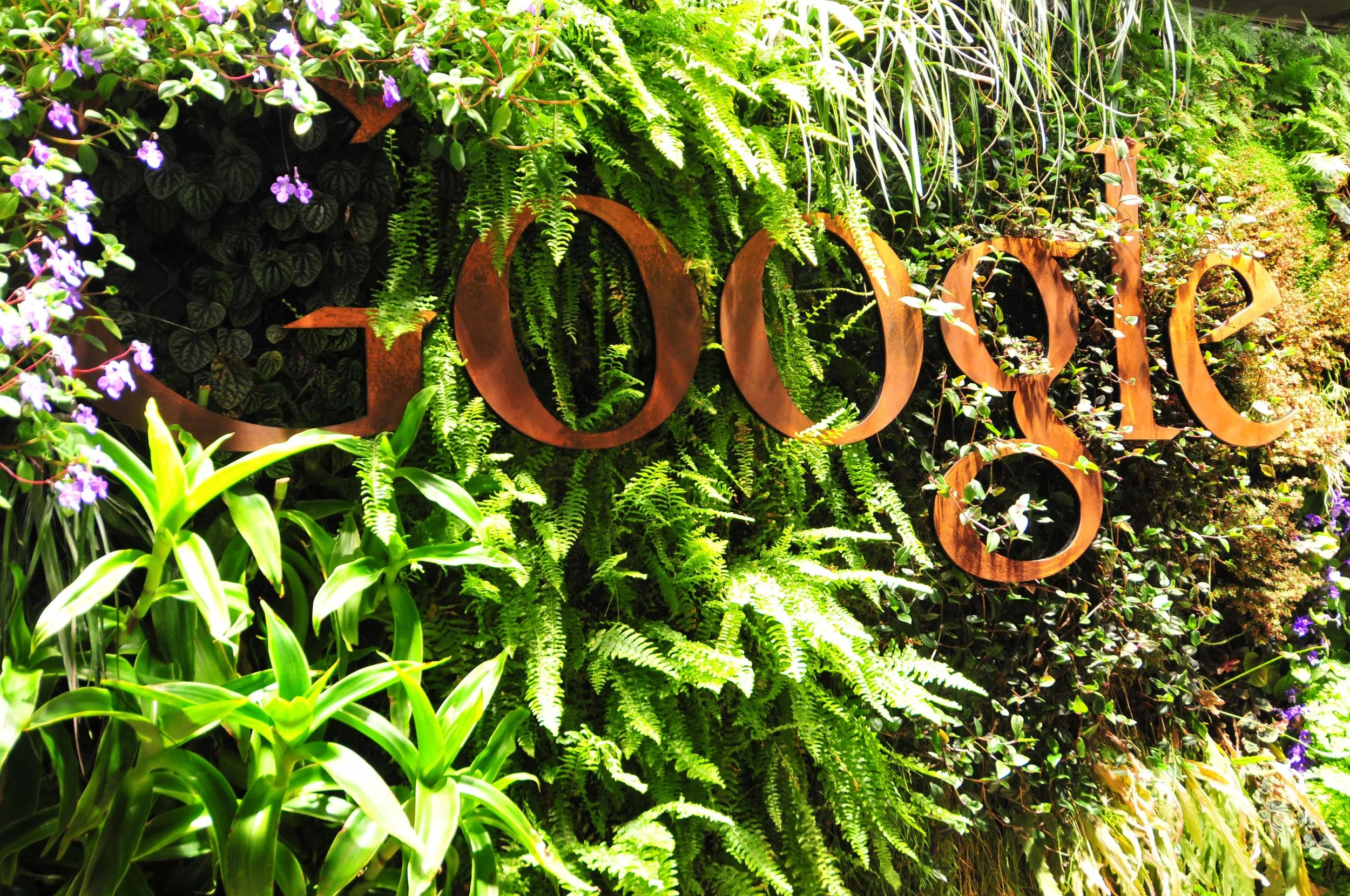 Google | Award Winning Workplace Strategy | Futurespace