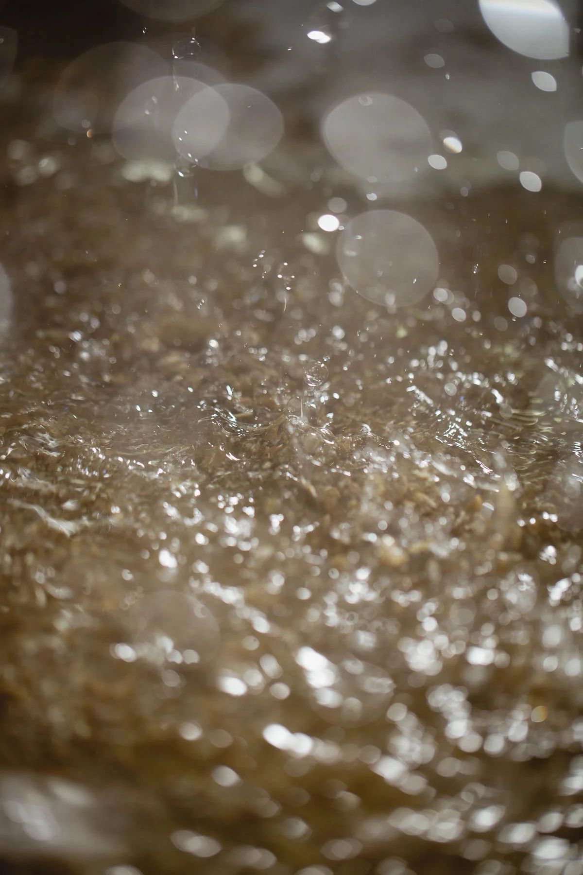 042a4076_3000px.jpg