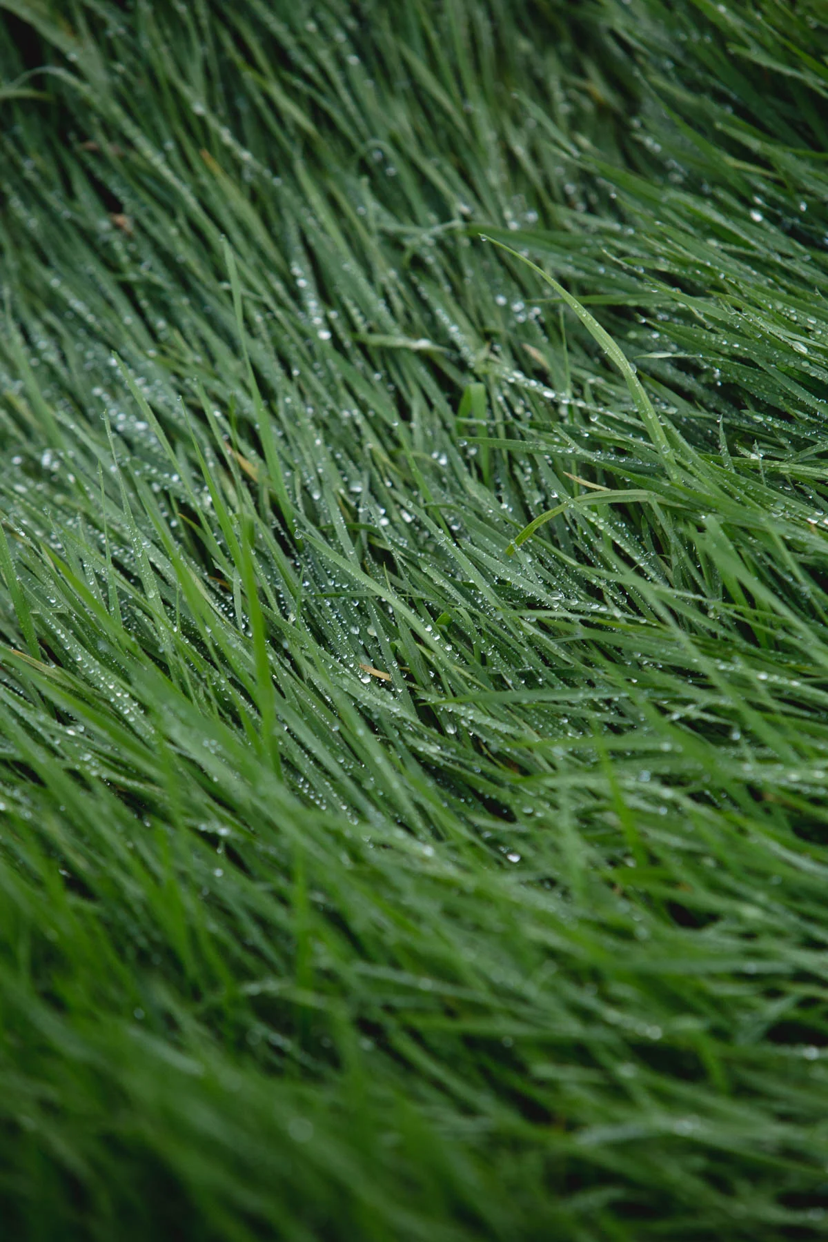 042a5858_3000px.jpg