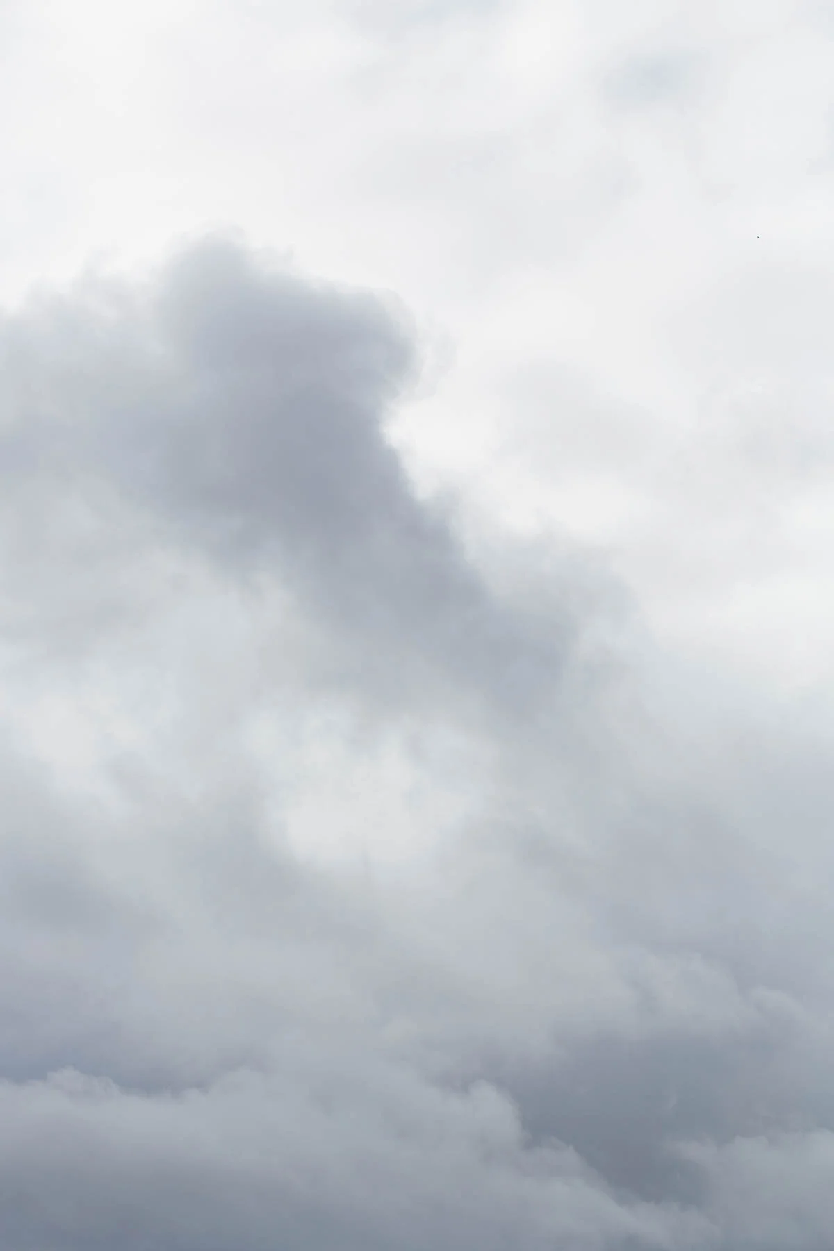 042a6918_3000px.jpg