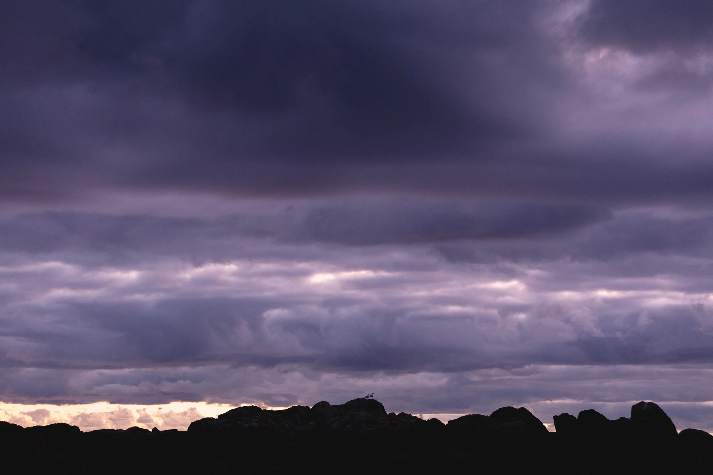 1U9A6544.jpg