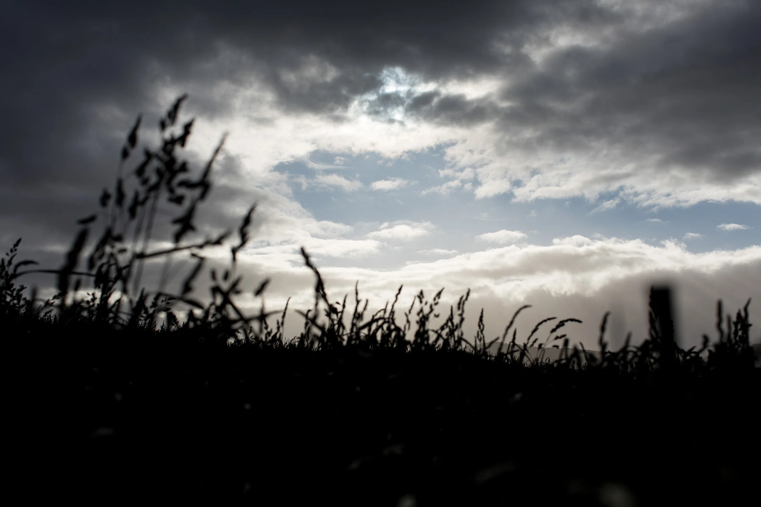 1U9A6927_3000px.jpg