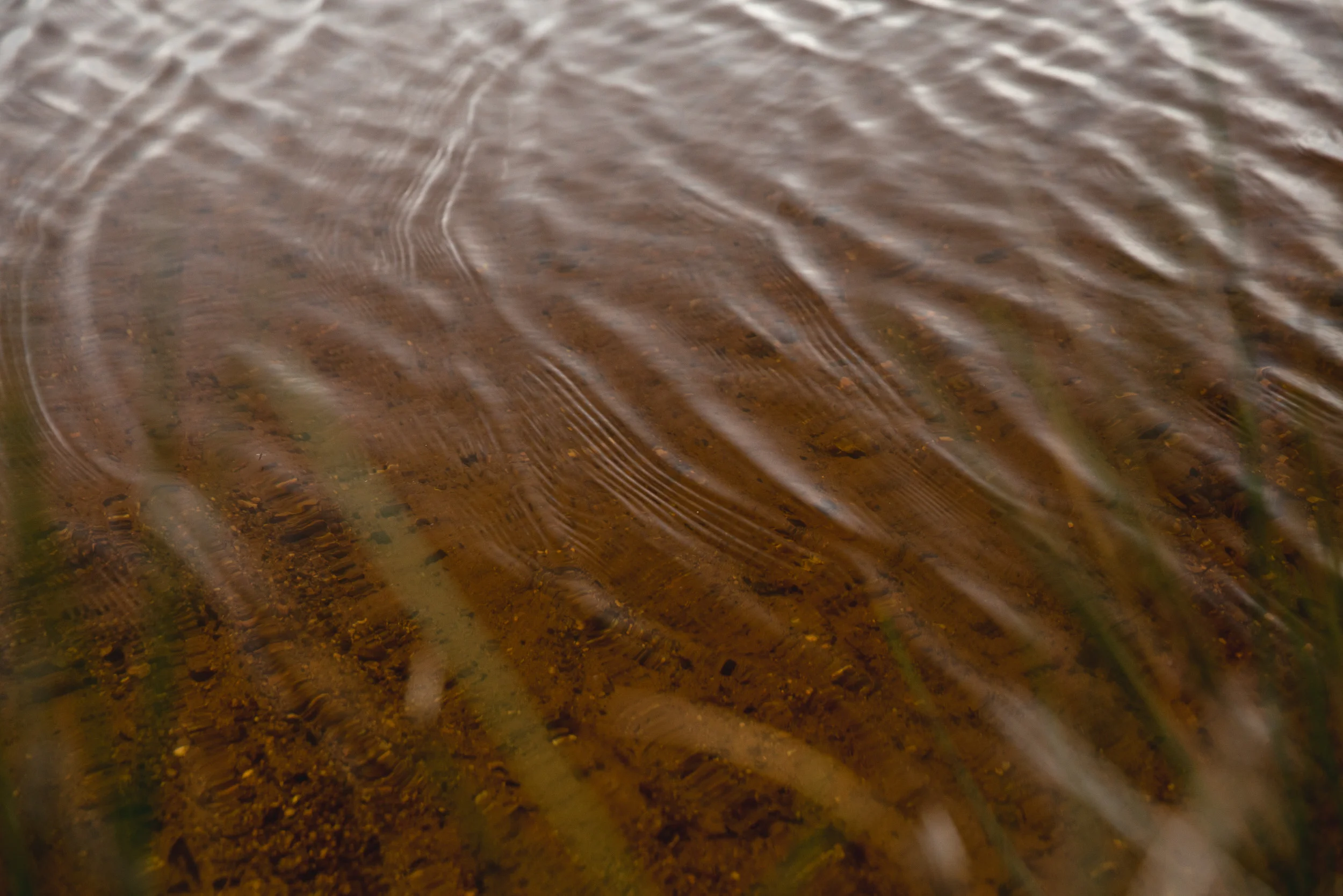 1U9A2415_3000px.jpg