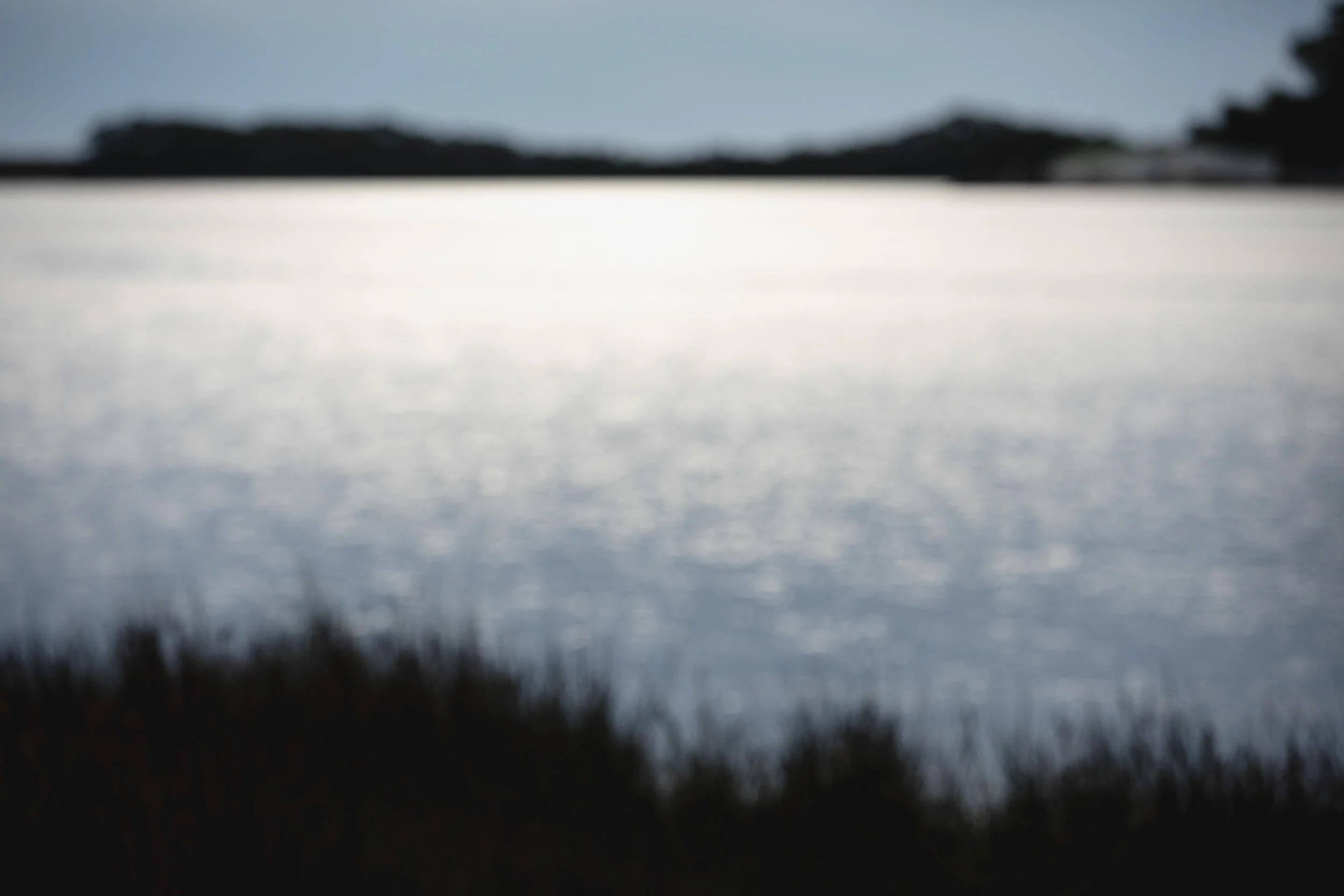 1U9A2430_3000px.jpg