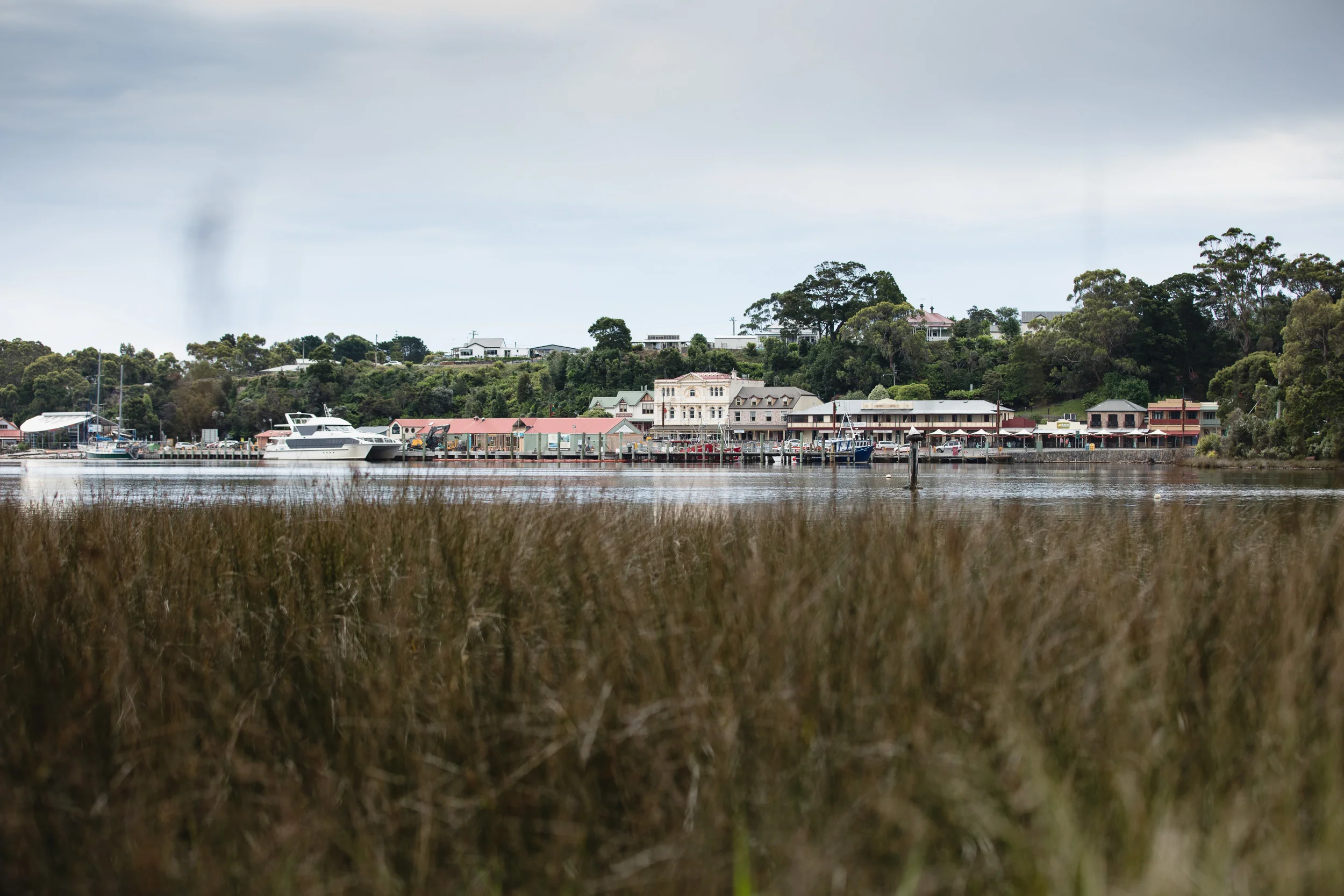 1U9A2382_3000px.jpg