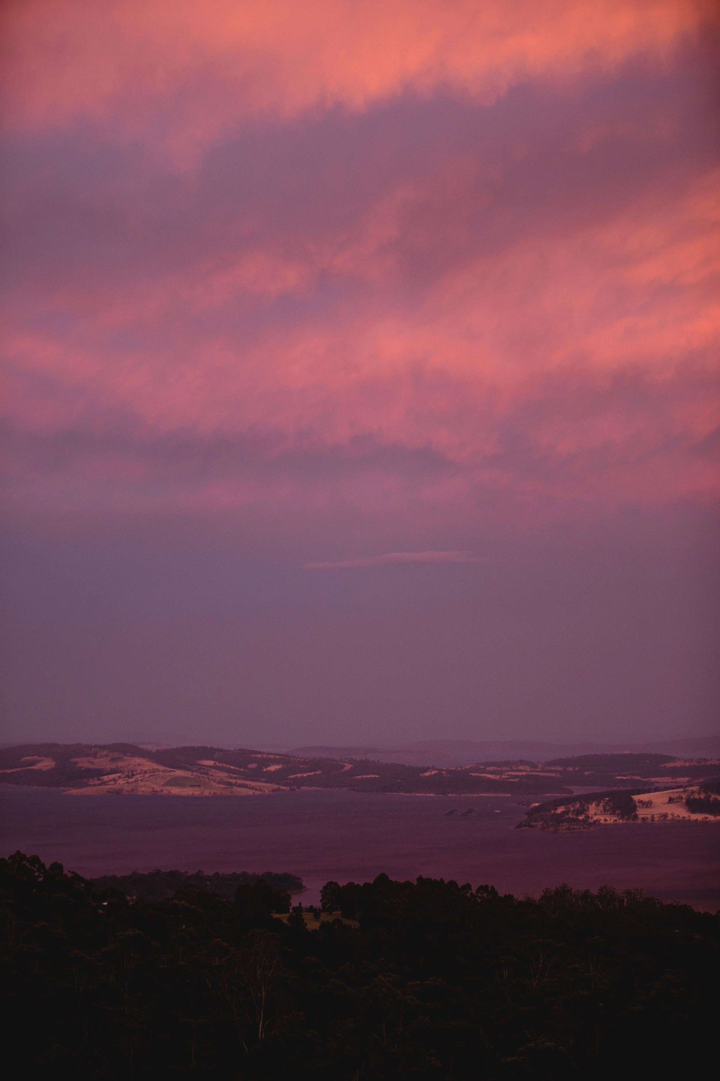 1U9A7697_3000px.jpg