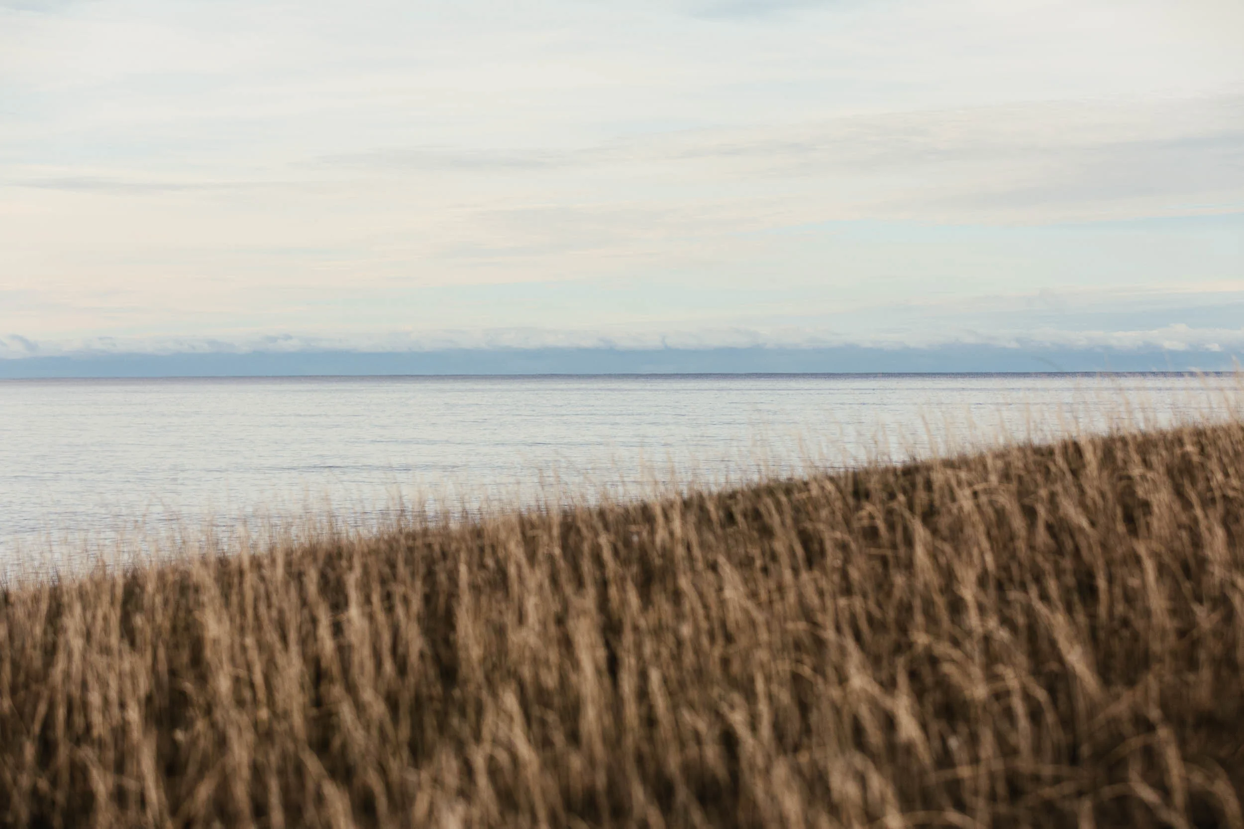 Tasman Sea Salt - Mayfield