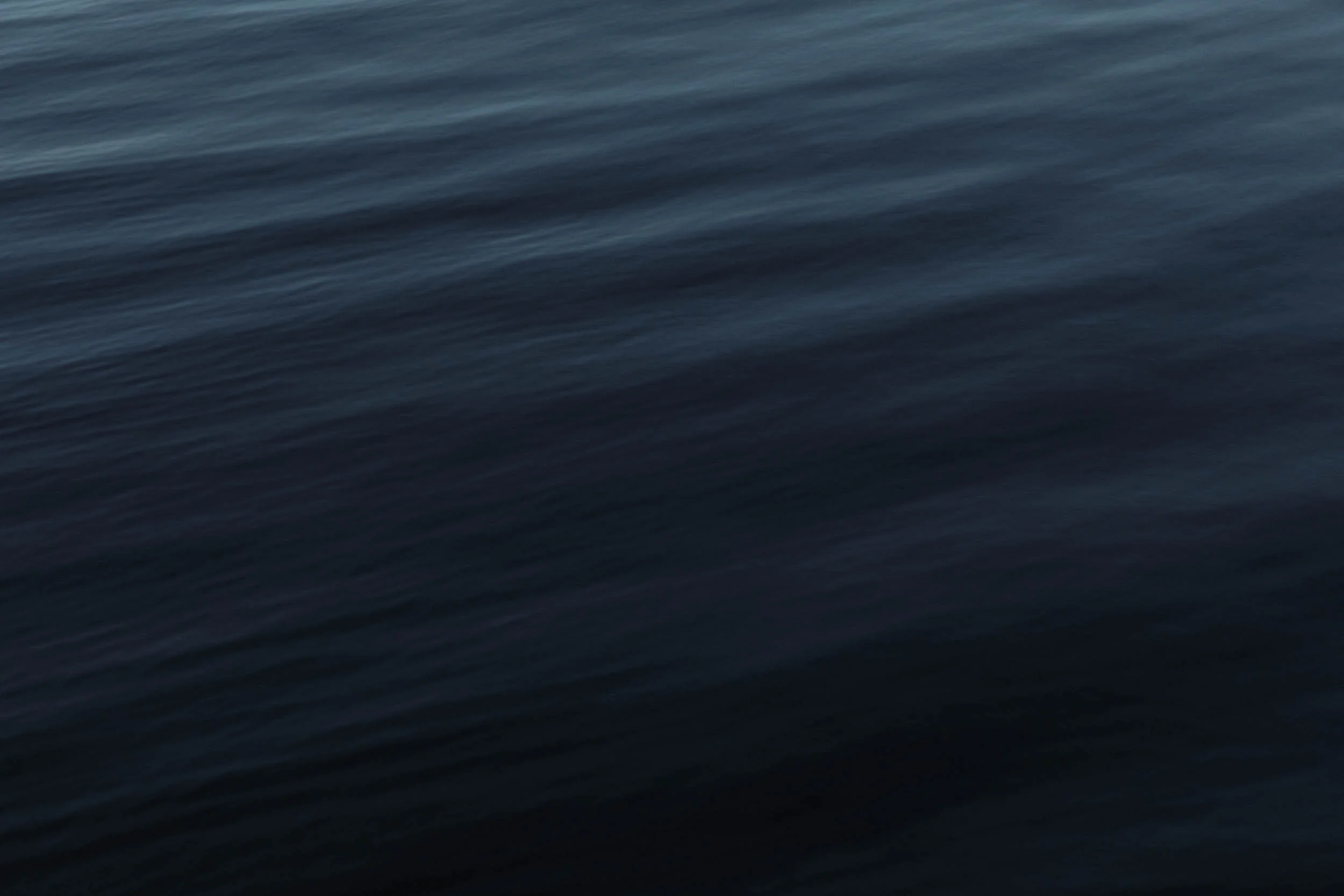 1U9A7769.jpg