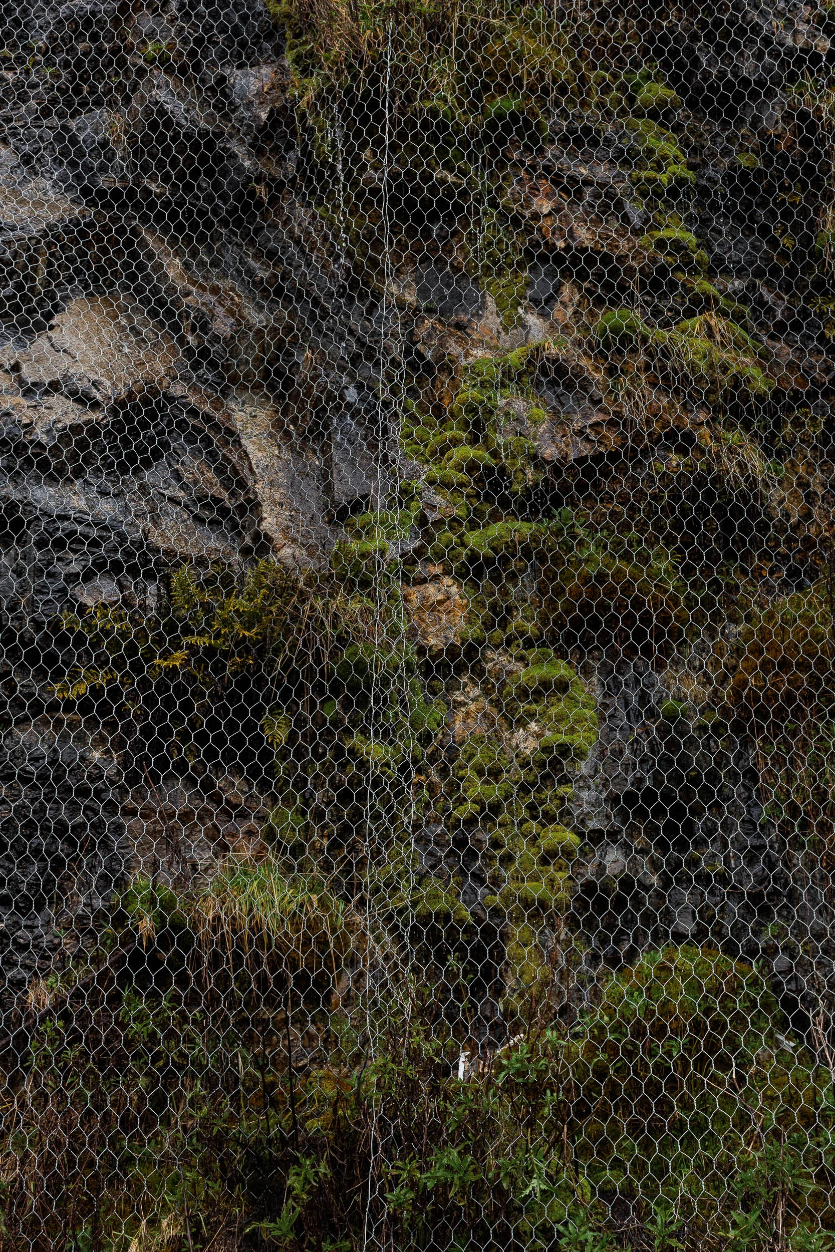 1U9A6492.jpg