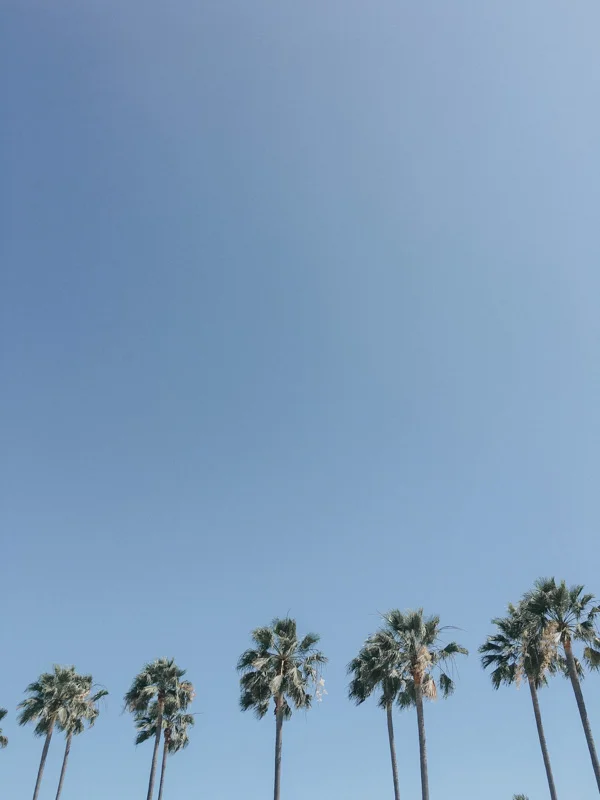 I am the only one in LA who has ever taken a photo like this. 
