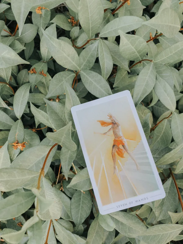 Self-Care Tarot July 2018: Are You a Doormat? Read This