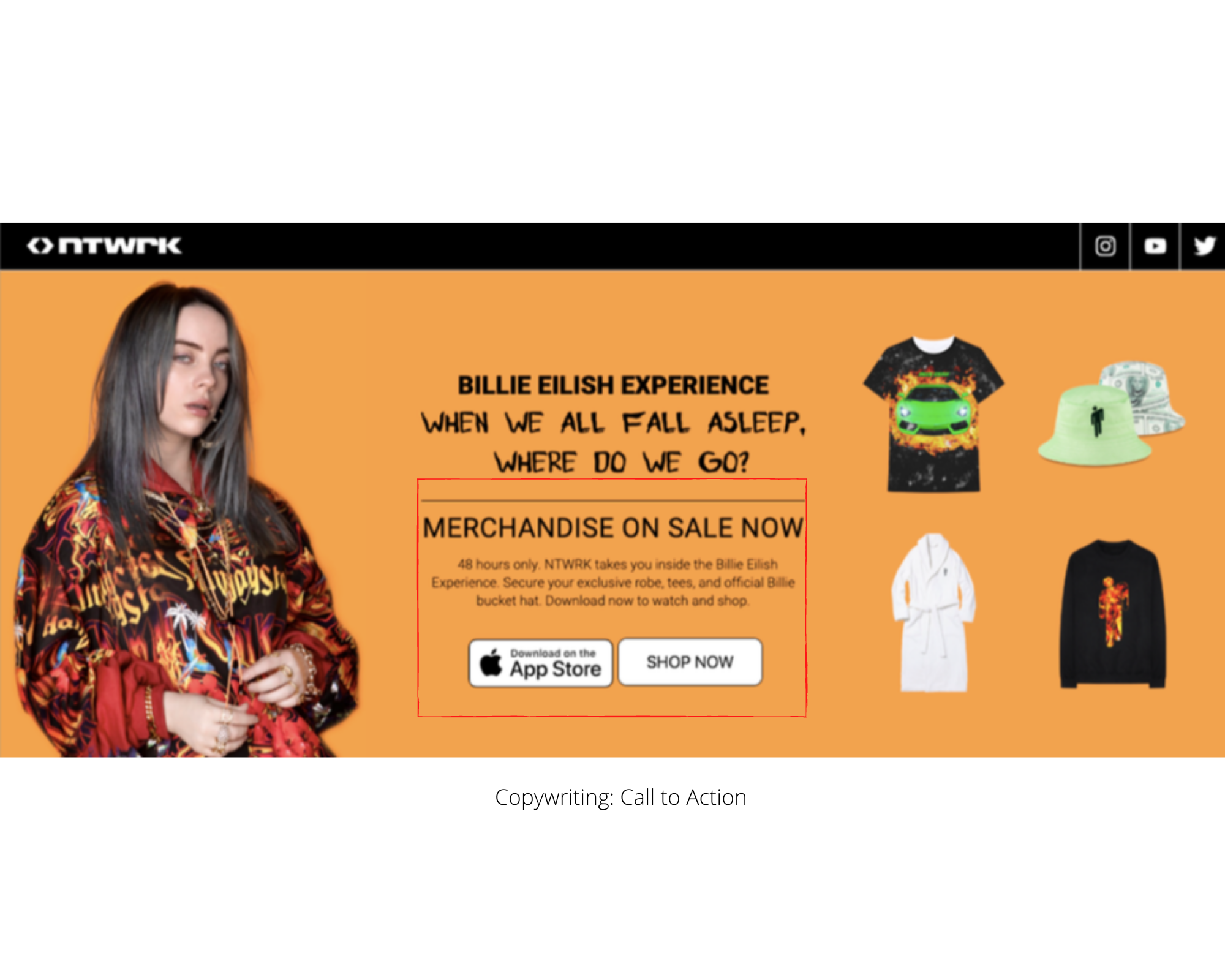 Copywriting Call to Action.png