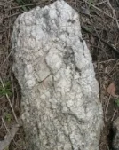 lithium2.jpg