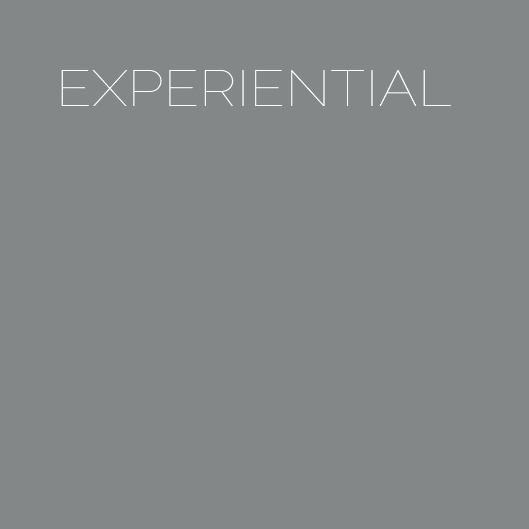 experiential_GREY.jpg