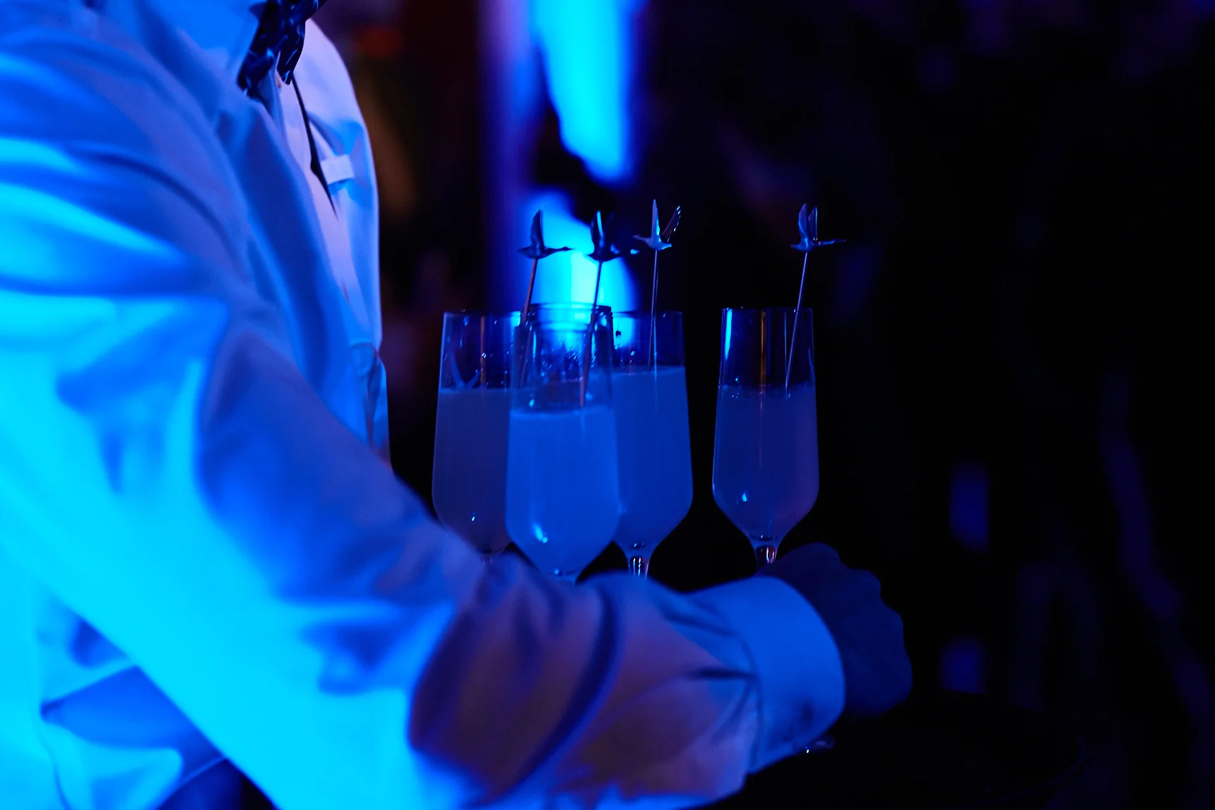 Grey Goose -MIFF - Tim Grey 126.jpg