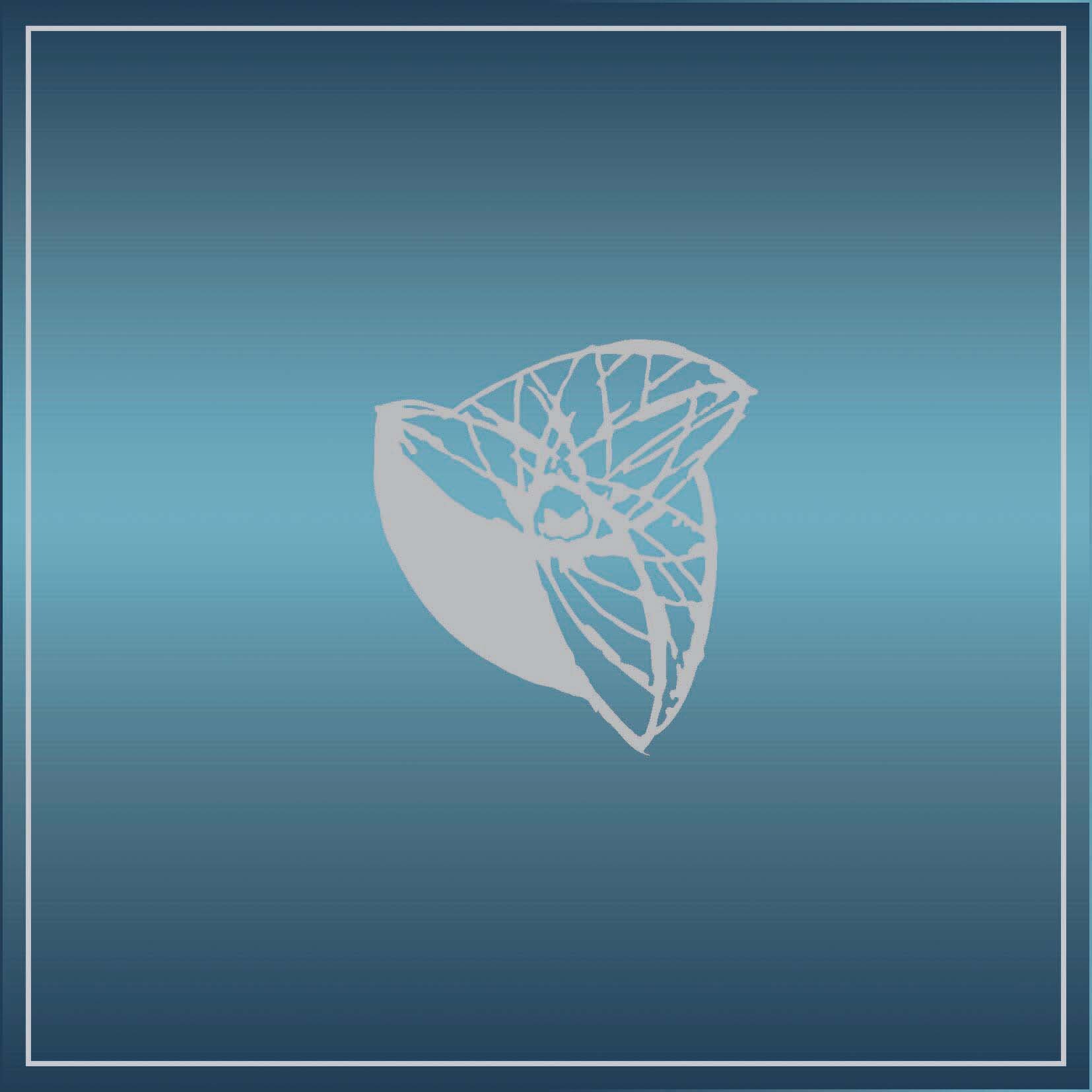 ART DIRECTION | The Wealth Report 2018