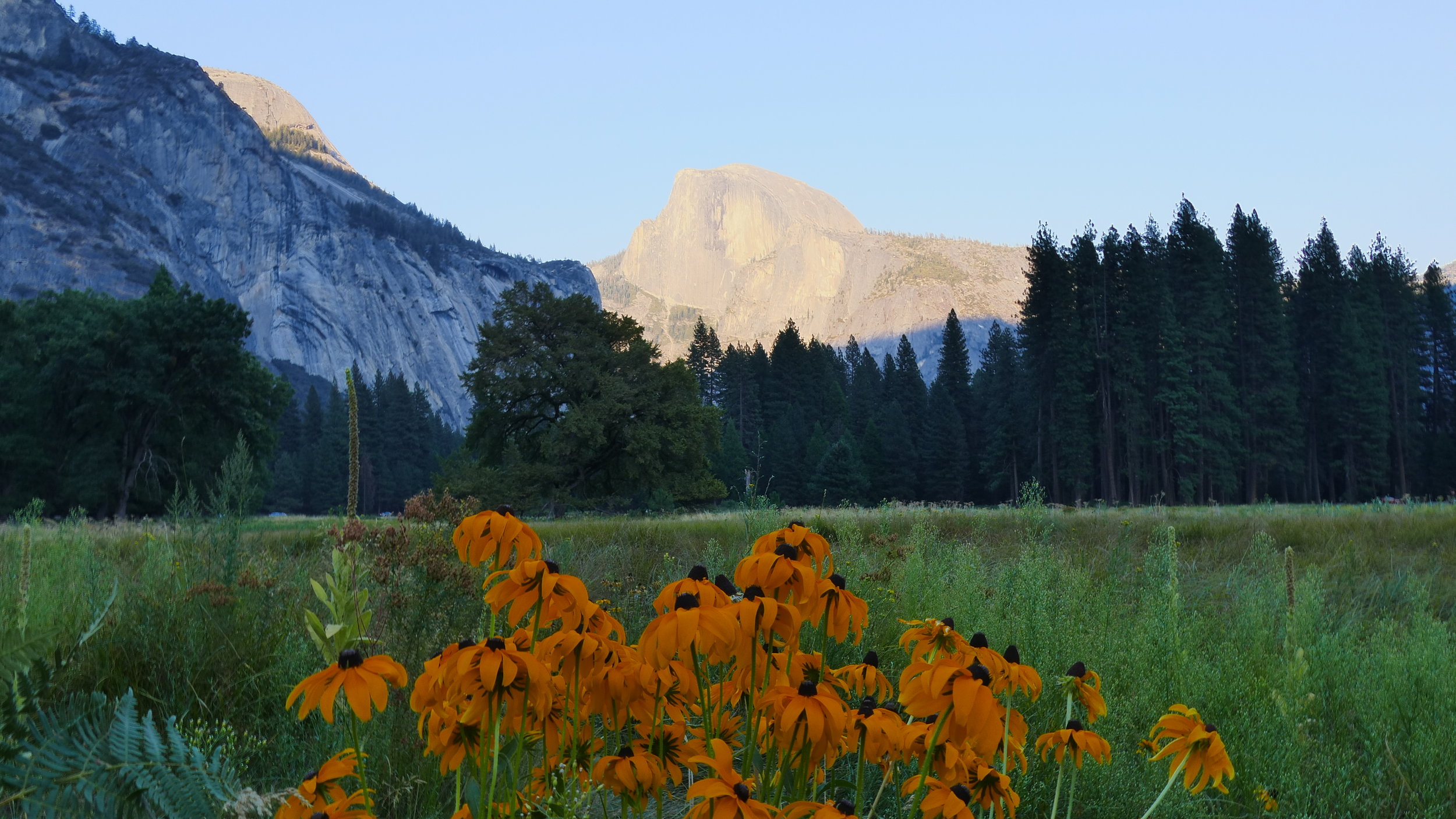 Yosemite N.P., California, USA (2016)