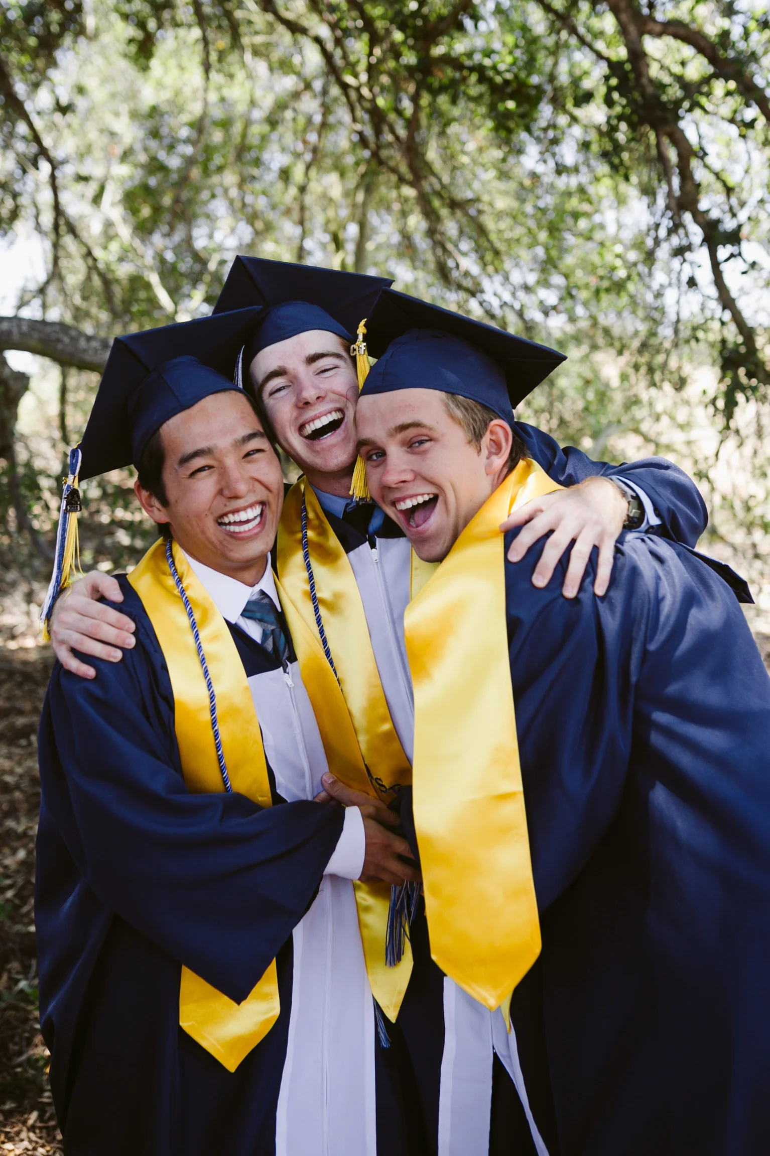 Gradz_218.JPG