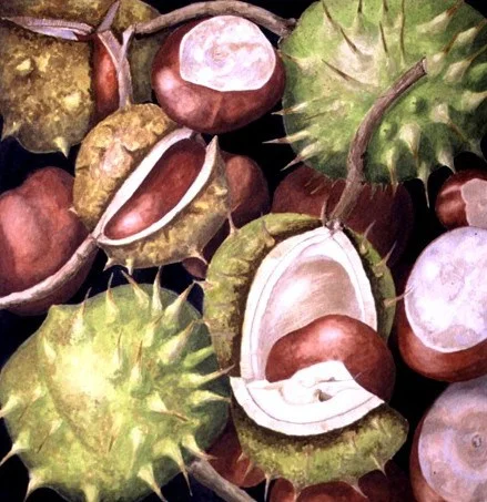 chestnuts1-copy-e1382300332978.jpg