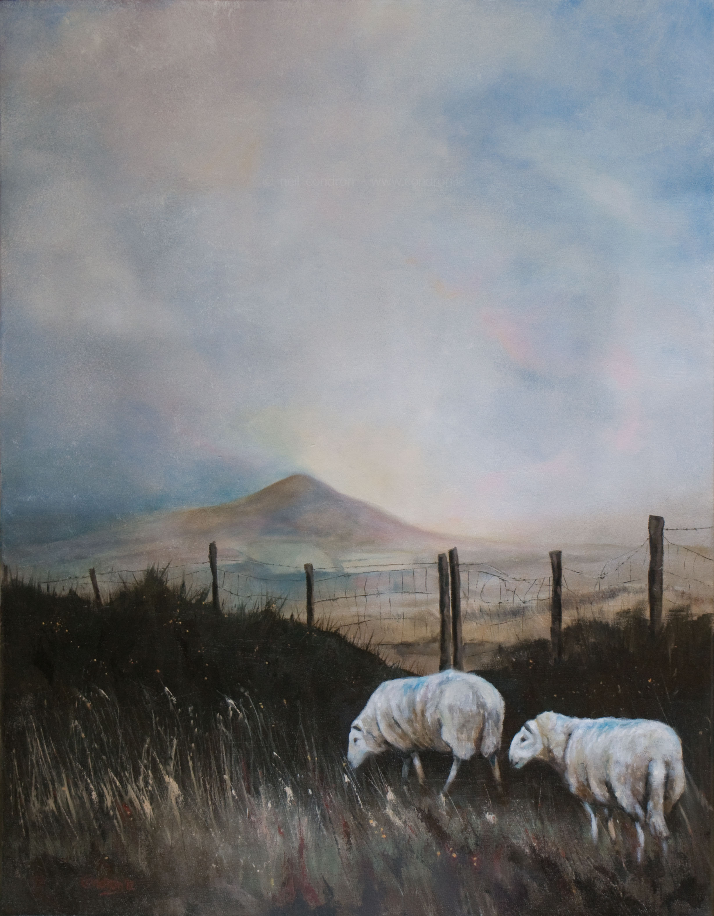 'Two Sheep and the Sugarloaf' by Neil Condron